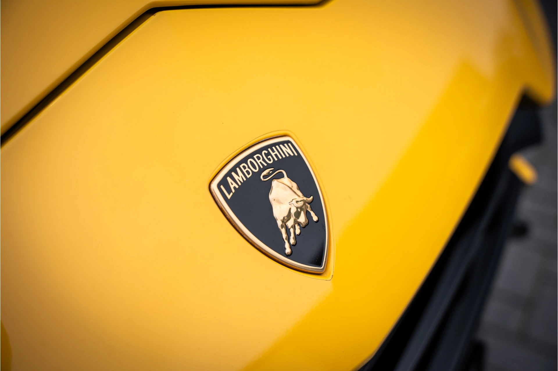 Hoofdafbeelding Lamborghini Urus