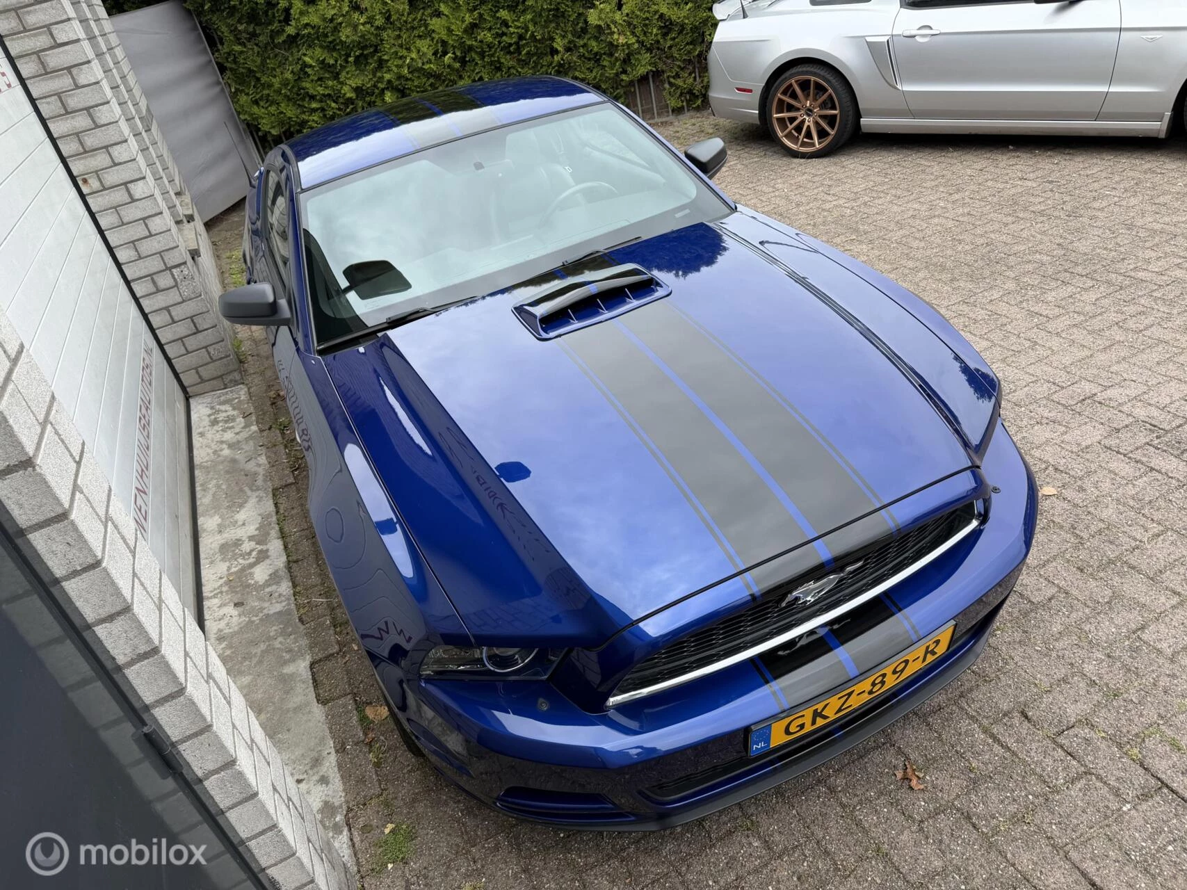 Hoofdafbeelding Ford Mustang