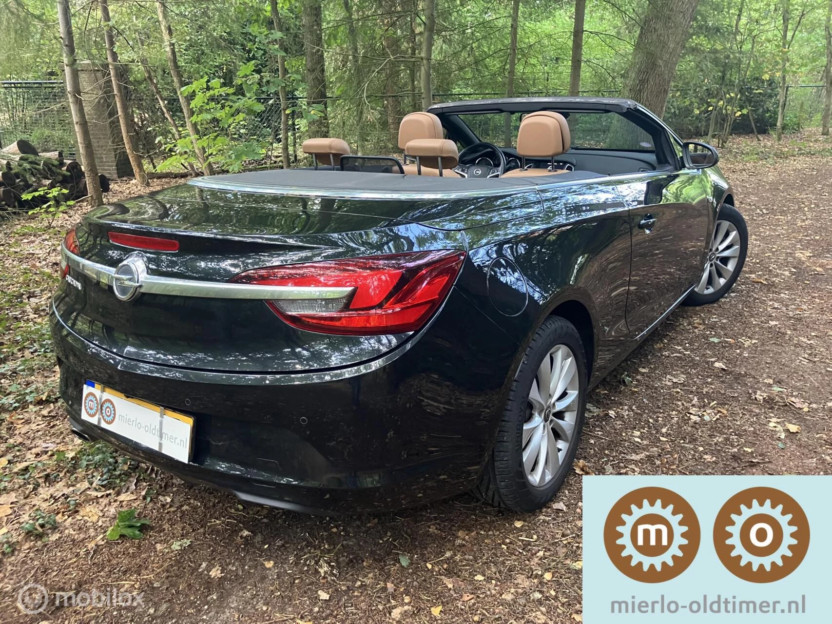 Hoofdafbeelding Opel Cascada