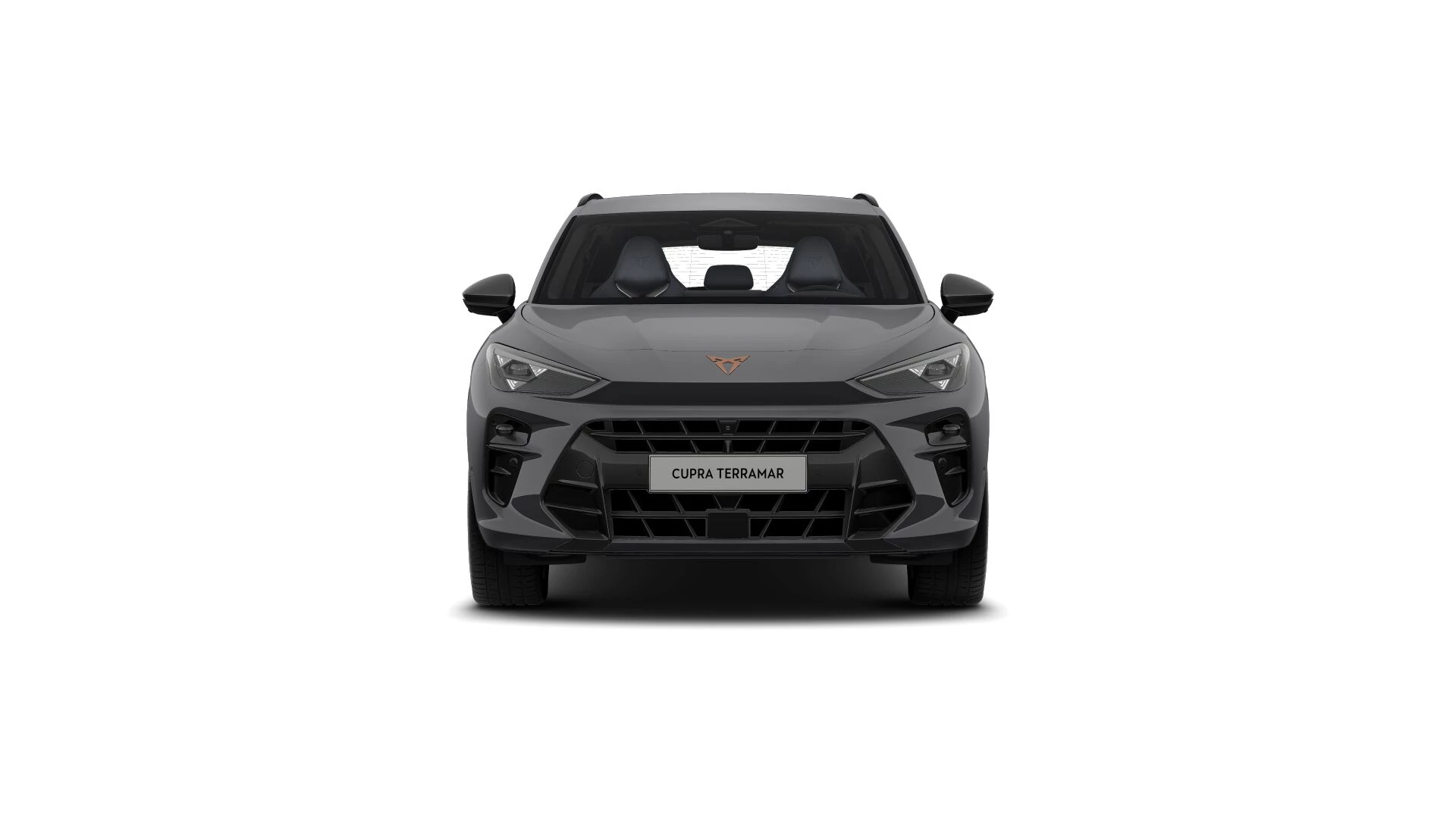 Hoofdafbeelding CUPRA Terramar