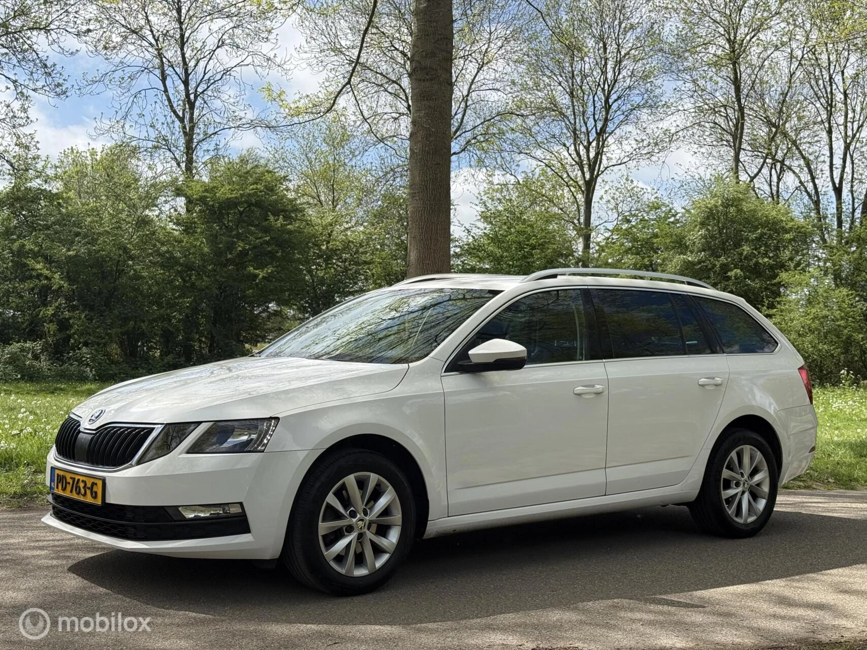 Hoofdafbeelding Škoda Octavia
