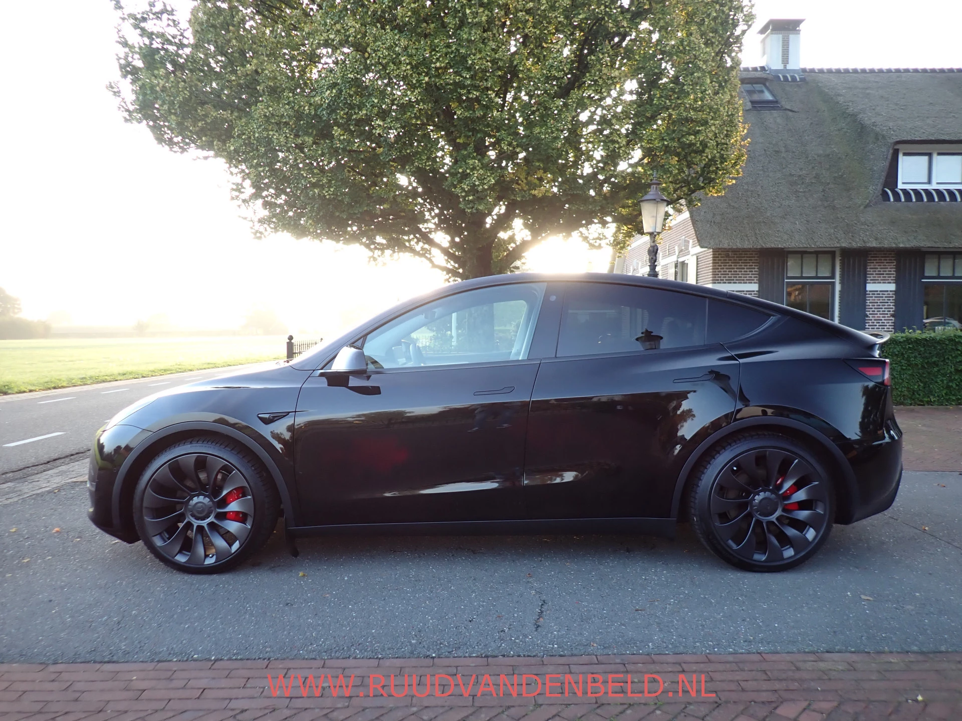 Hoofdafbeelding Tesla Model Y