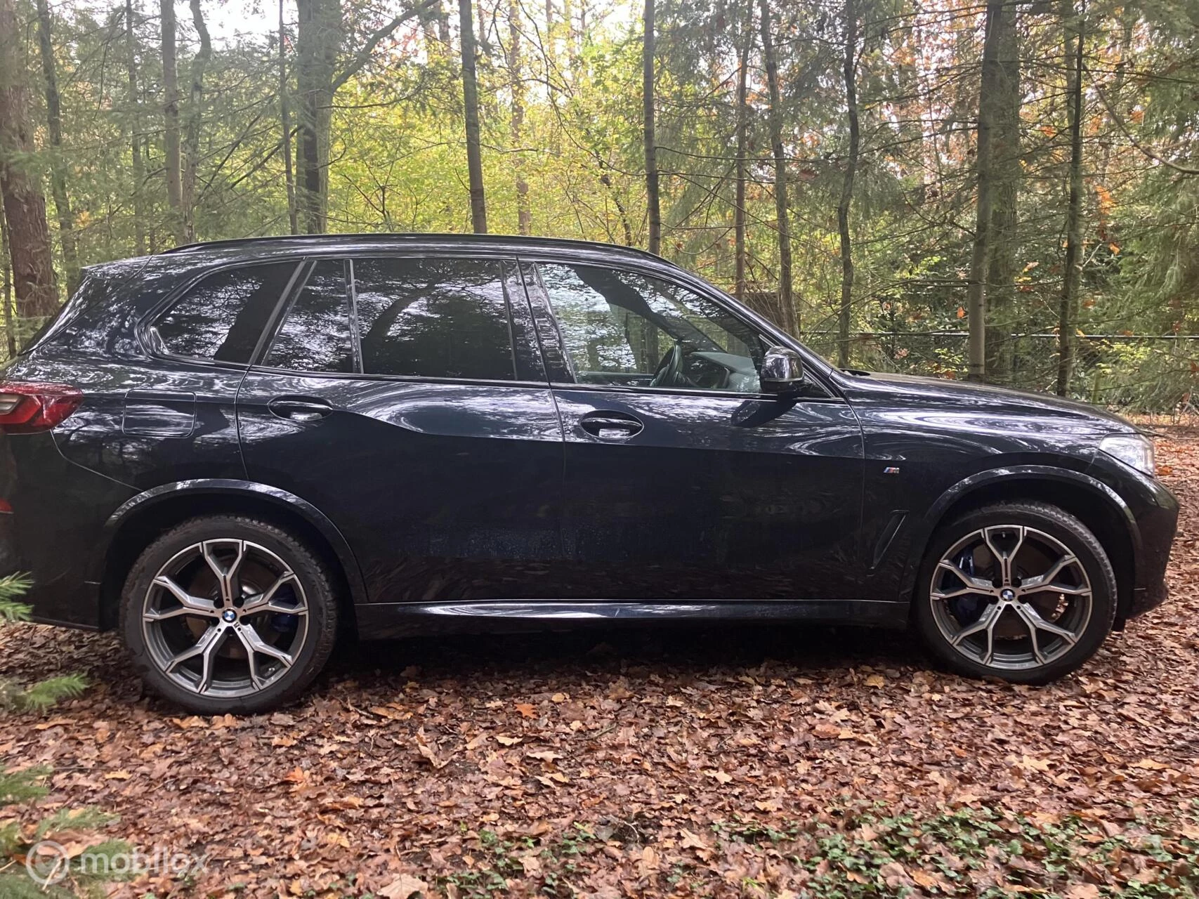 Hoofdafbeelding BMW X5