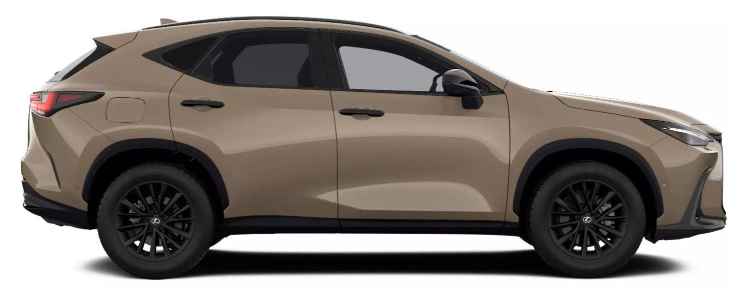 Hoofdafbeelding Lexus NX