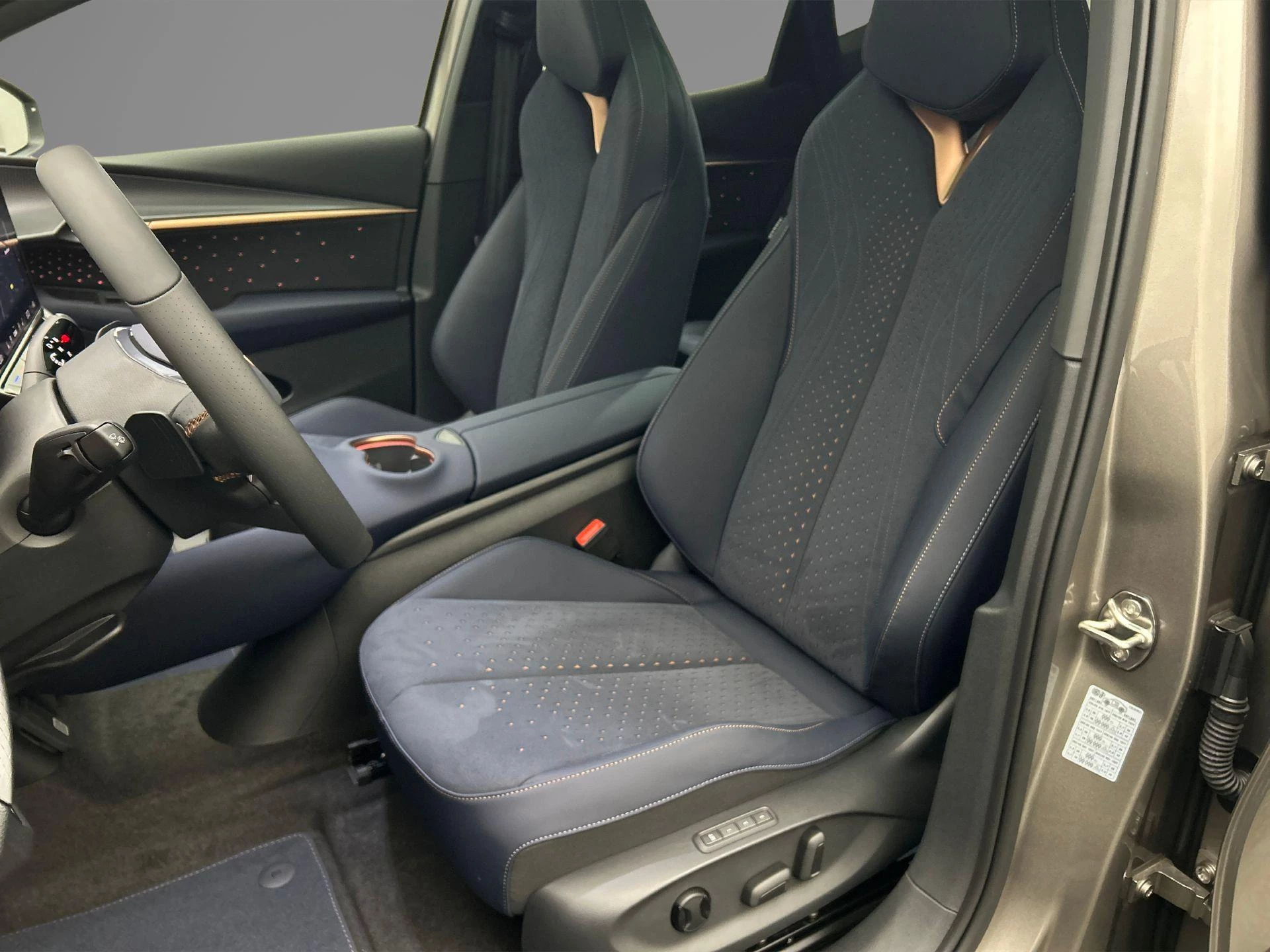 Hoofdafbeelding CUPRA Tavascan