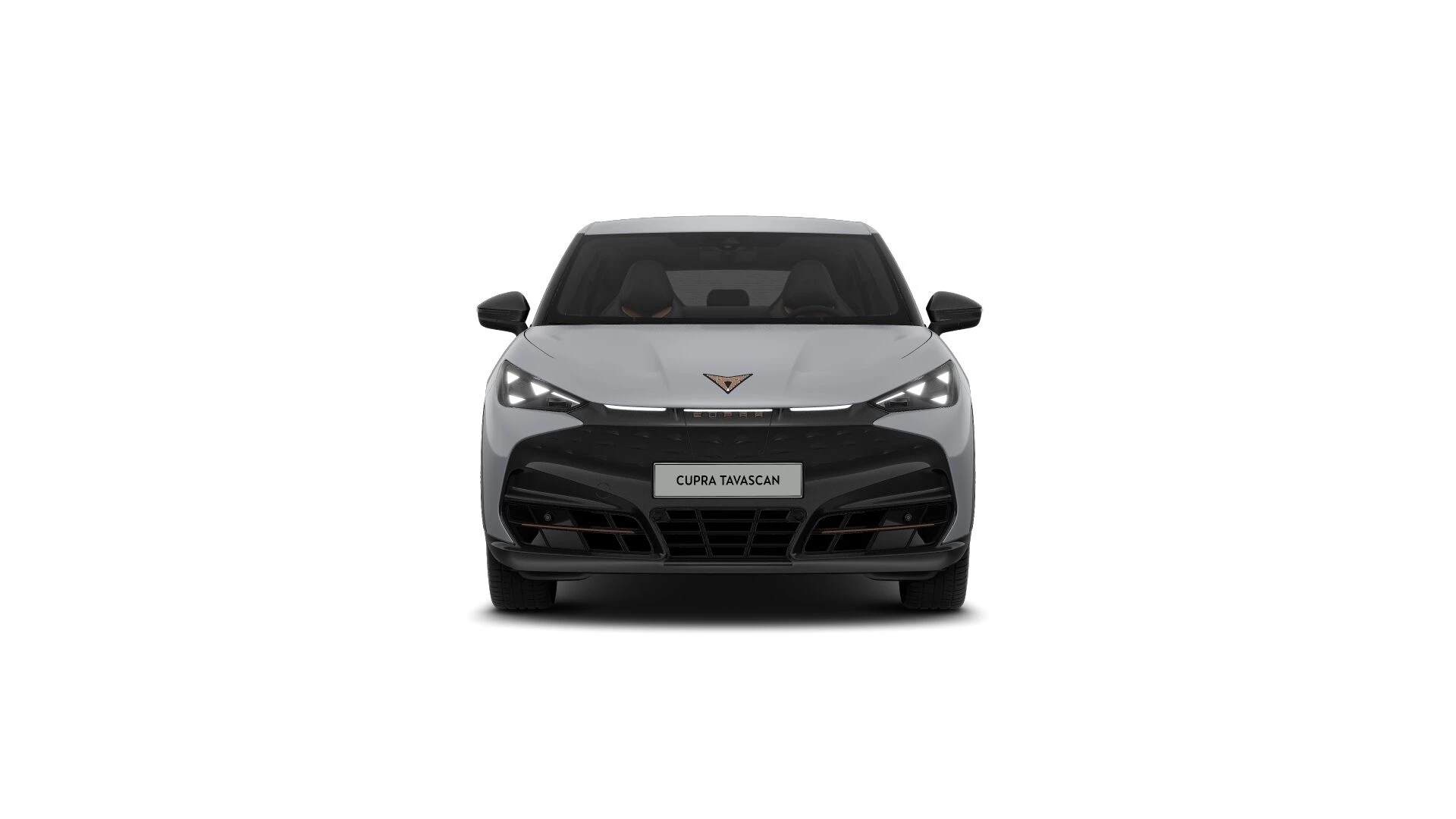 Hoofdafbeelding CUPRA Tavascan