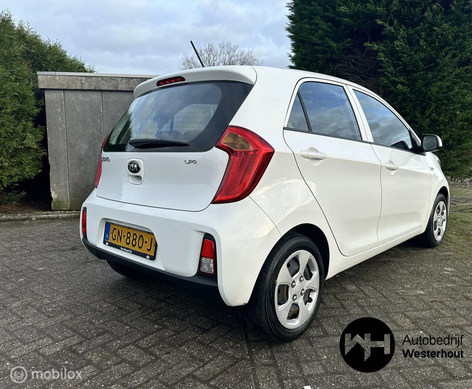 Hoofdafbeelding Kia Picanto