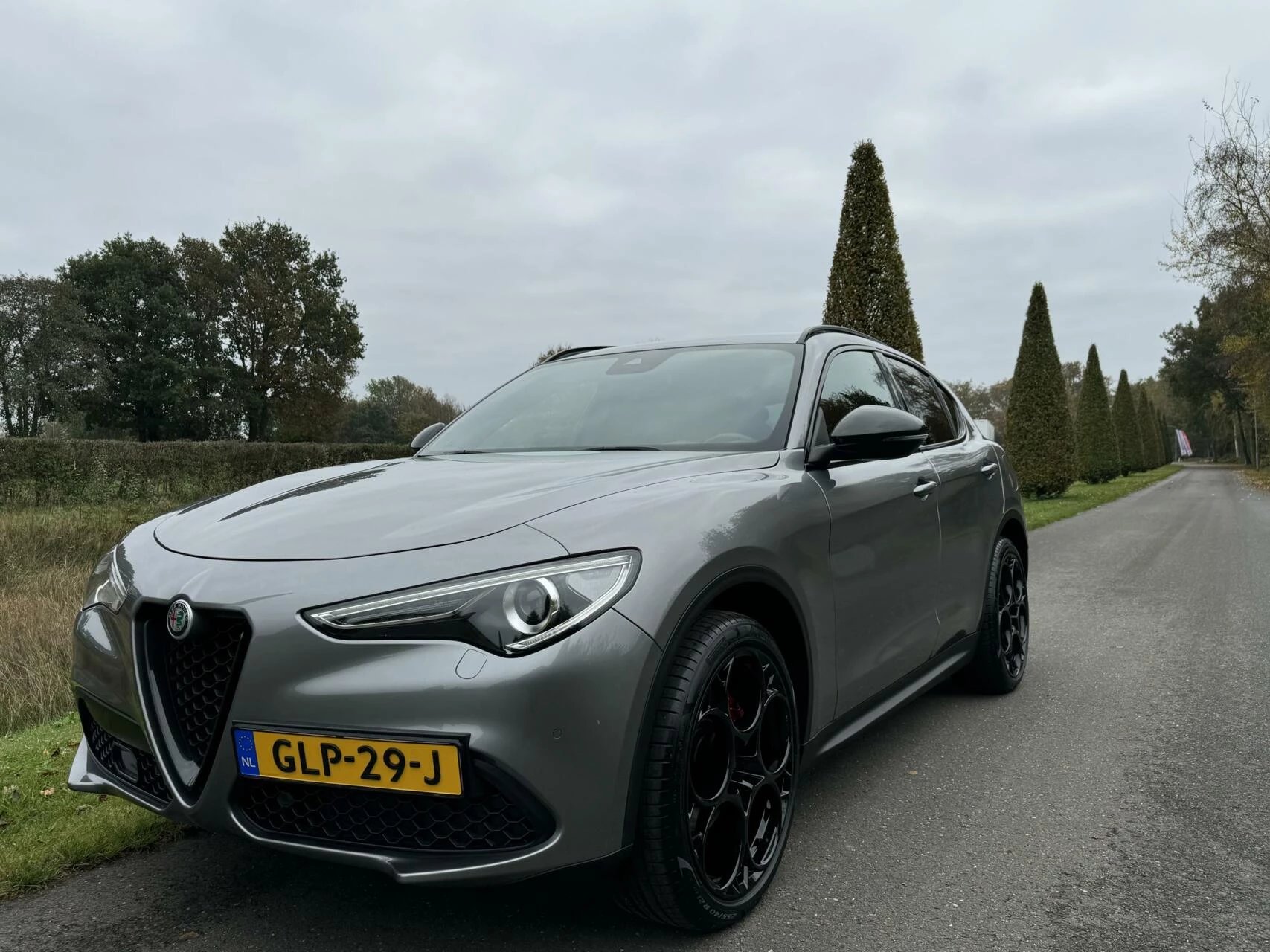 Hoofdafbeelding Alfa Romeo Stelvio