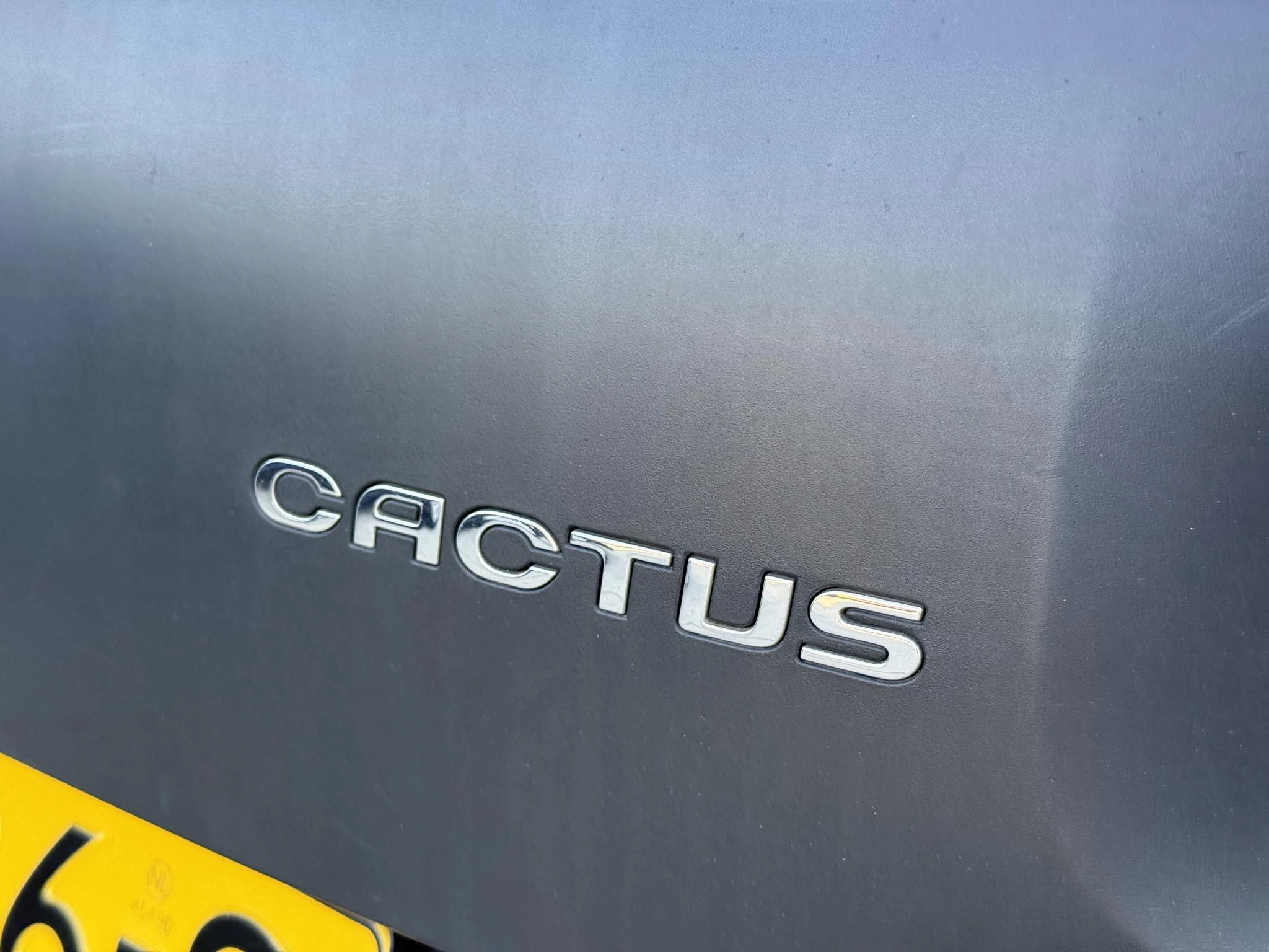 Hoofdafbeelding Citroën C4 Cactus