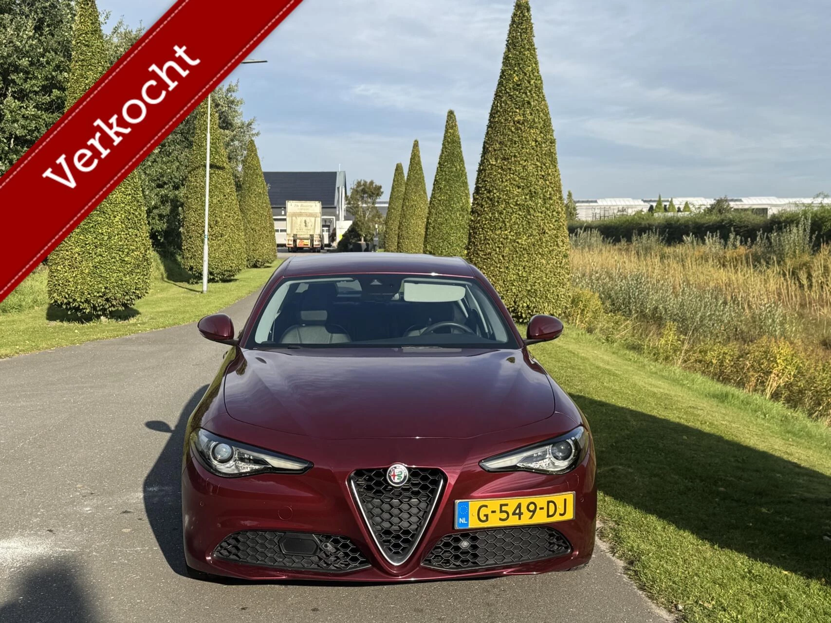 Hoofdafbeelding Alfa Romeo Giulia