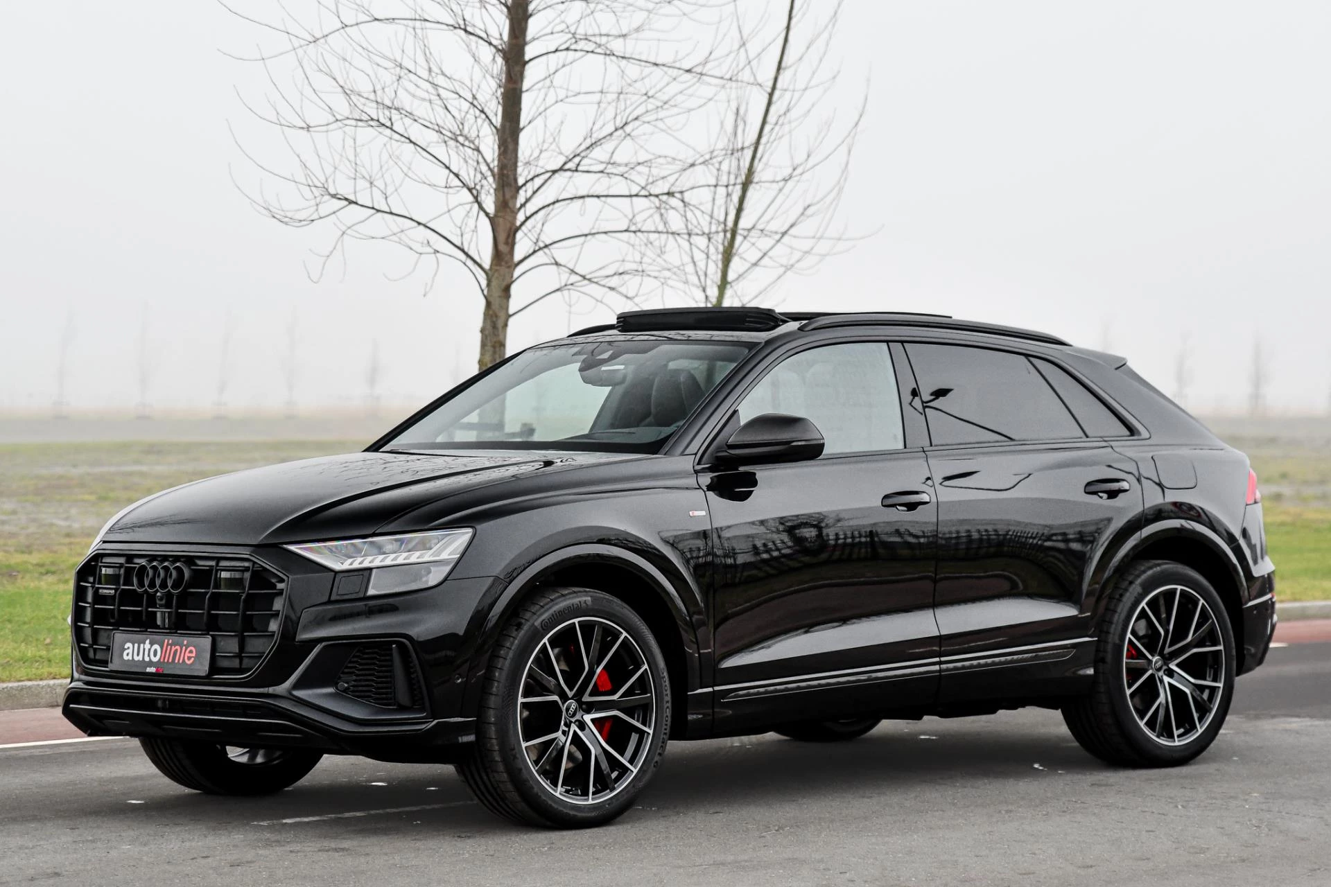 Hoofdafbeelding Audi Q8