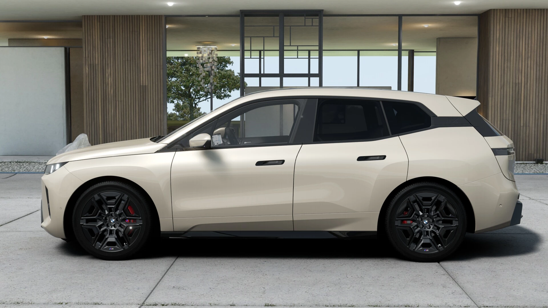 Hoofdafbeelding BMW iX