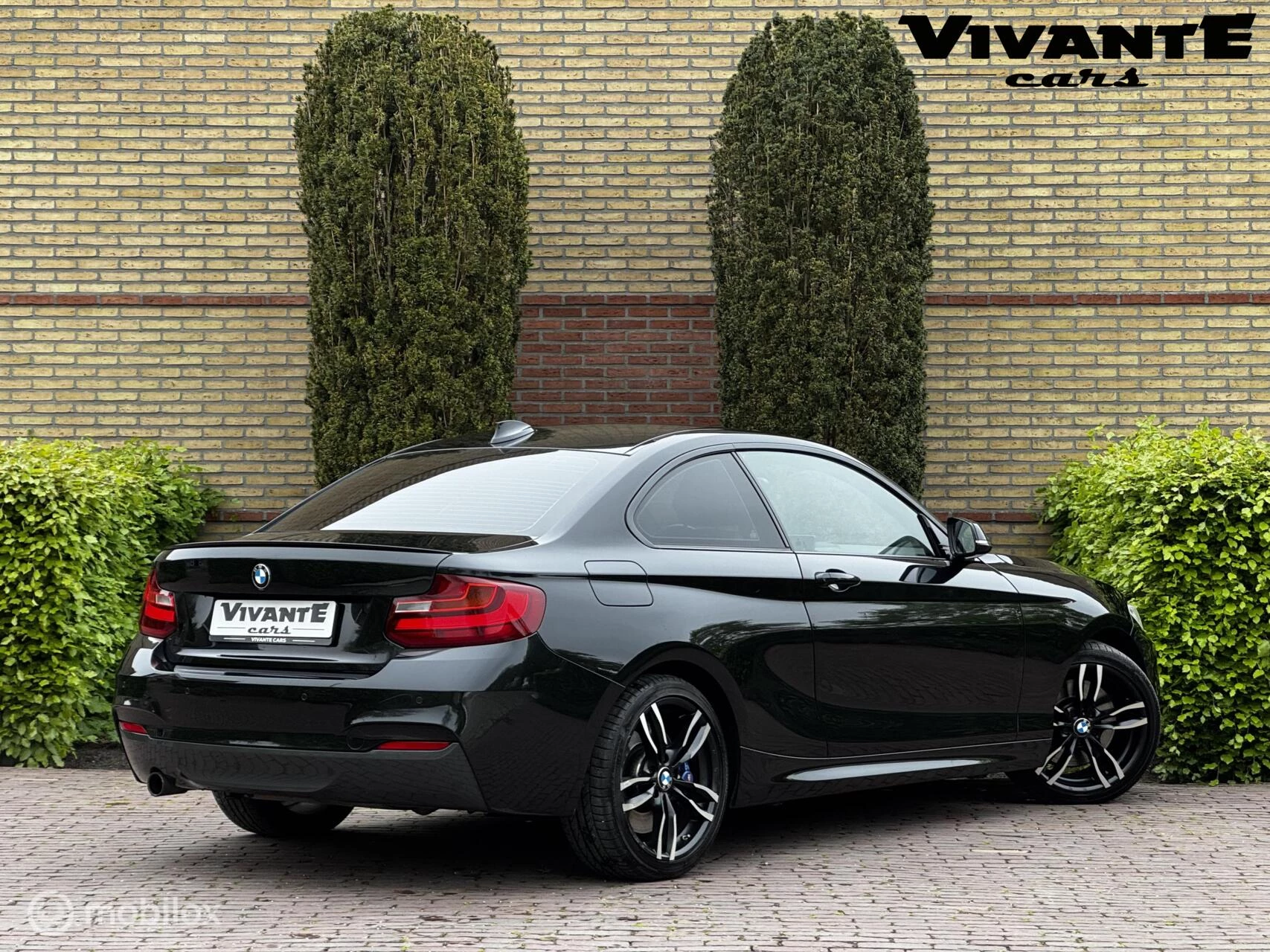 Hoofdafbeelding BMW 2 Serie
