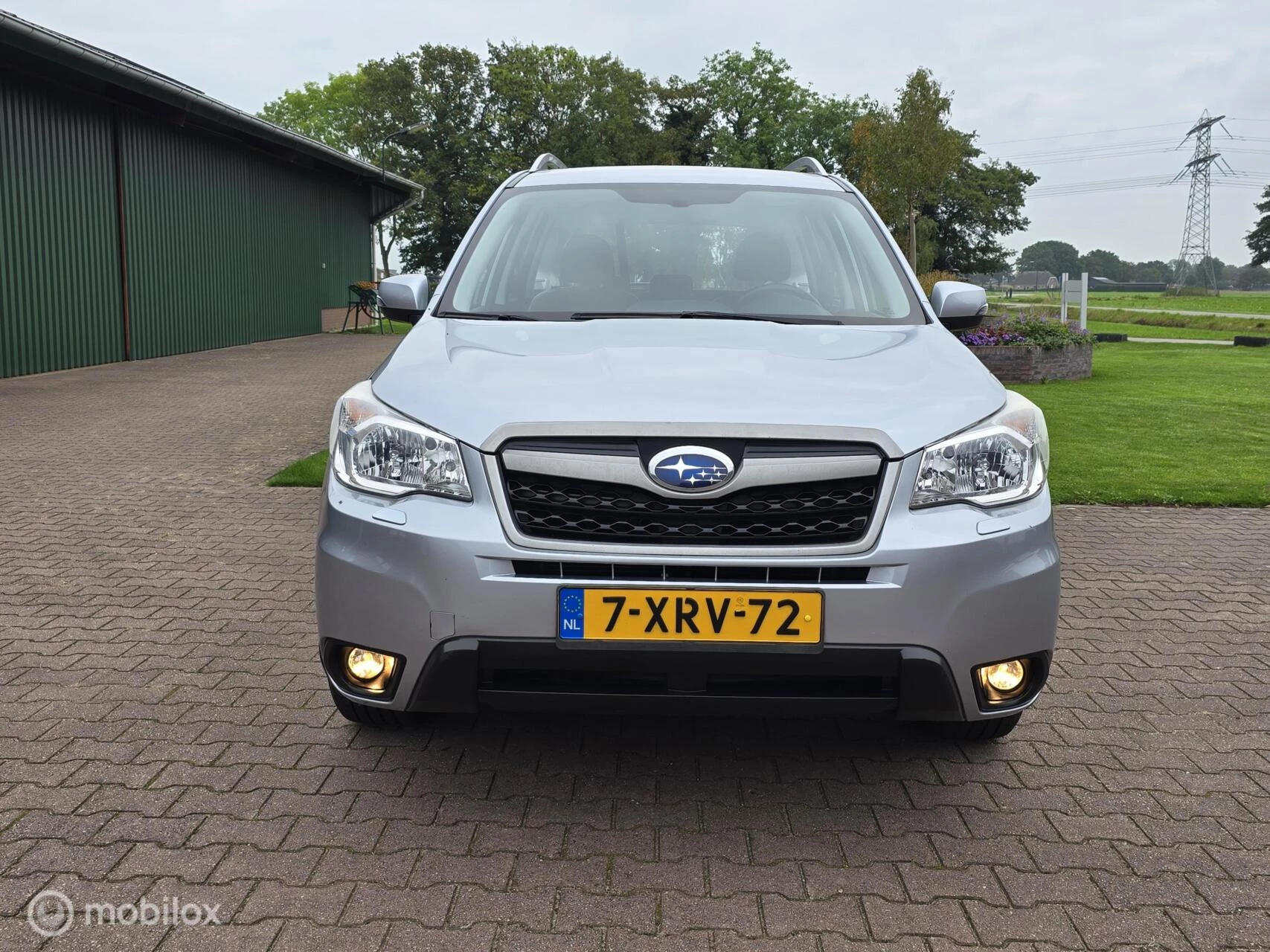 Hoofdafbeelding Subaru Forester
