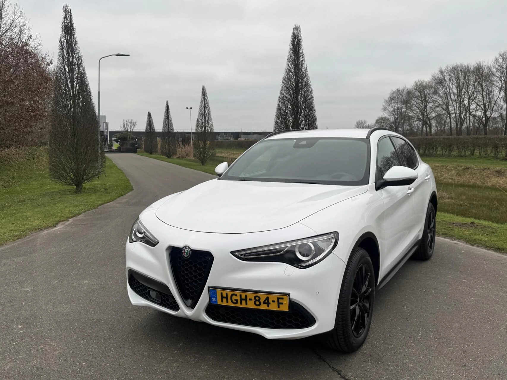 Hoofdafbeelding Alfa Romeo Stelvio
