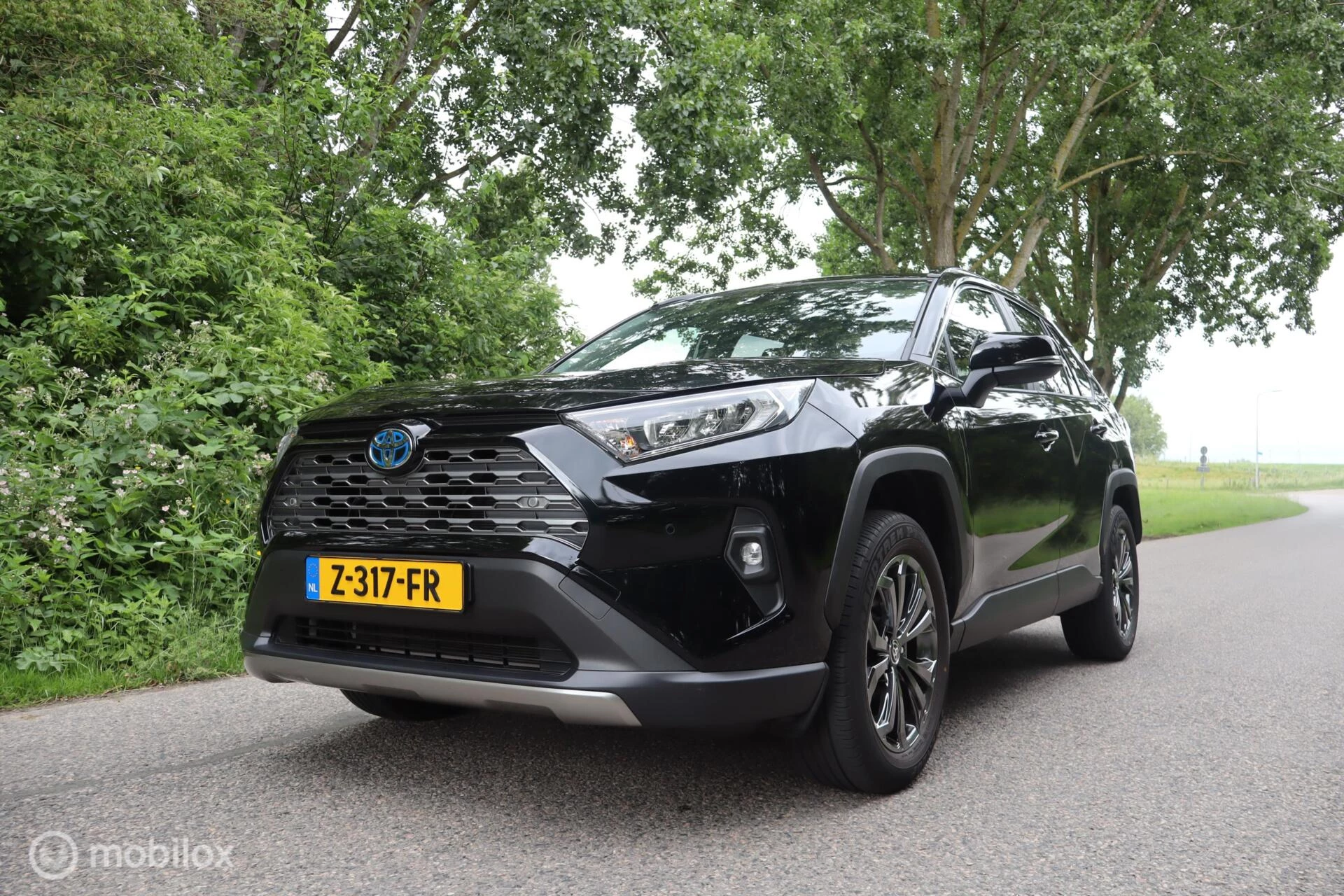 Hoofdafbeelding Toyota RAV4