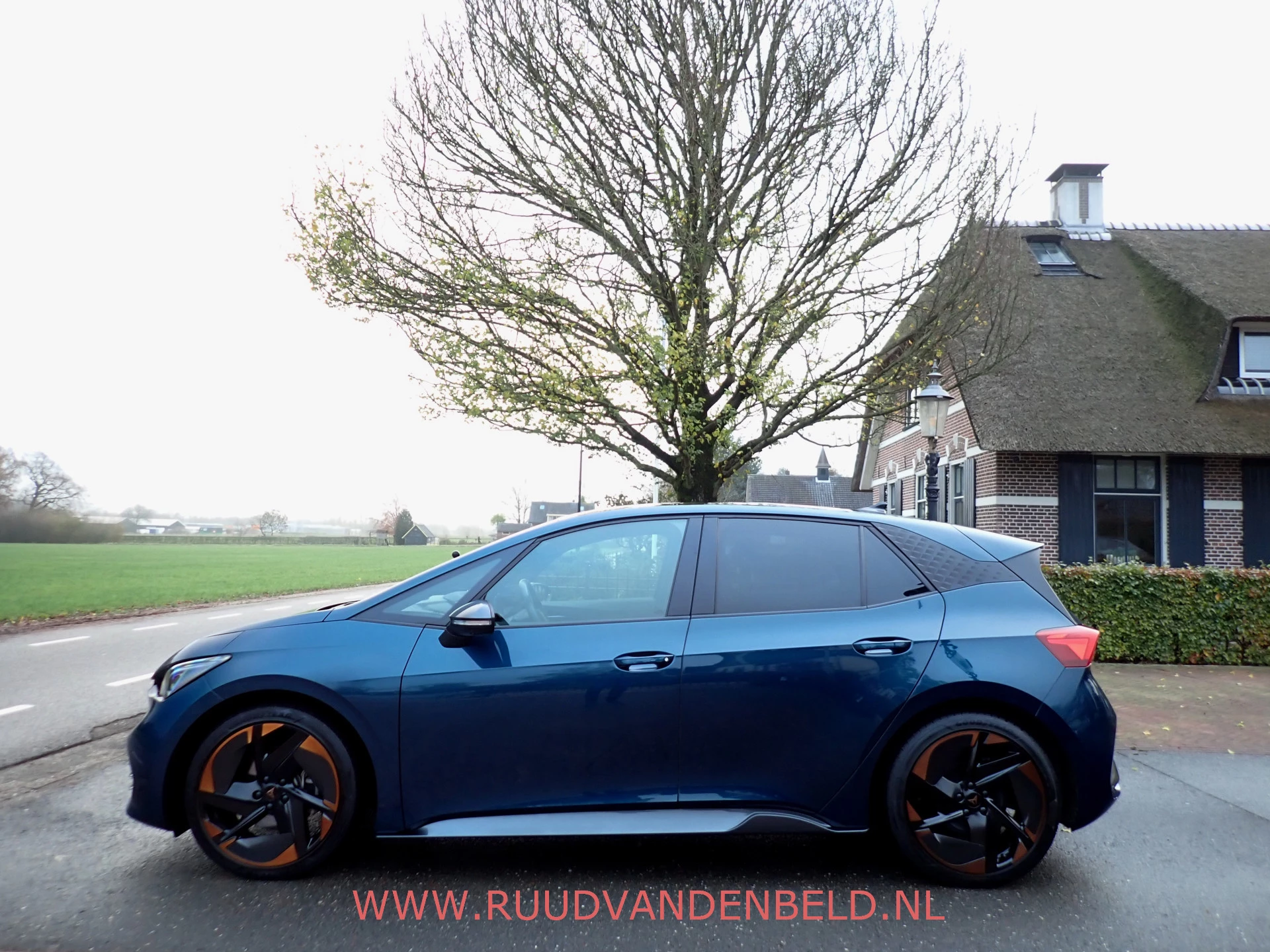 Hoofdafbeelding CUPRA Born