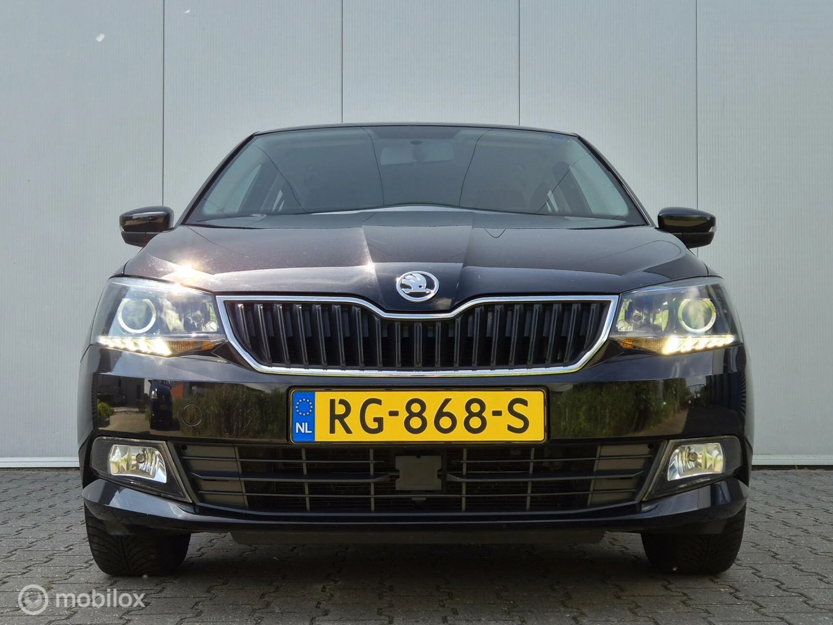 Hoofdafbeelding Škoda Fabia