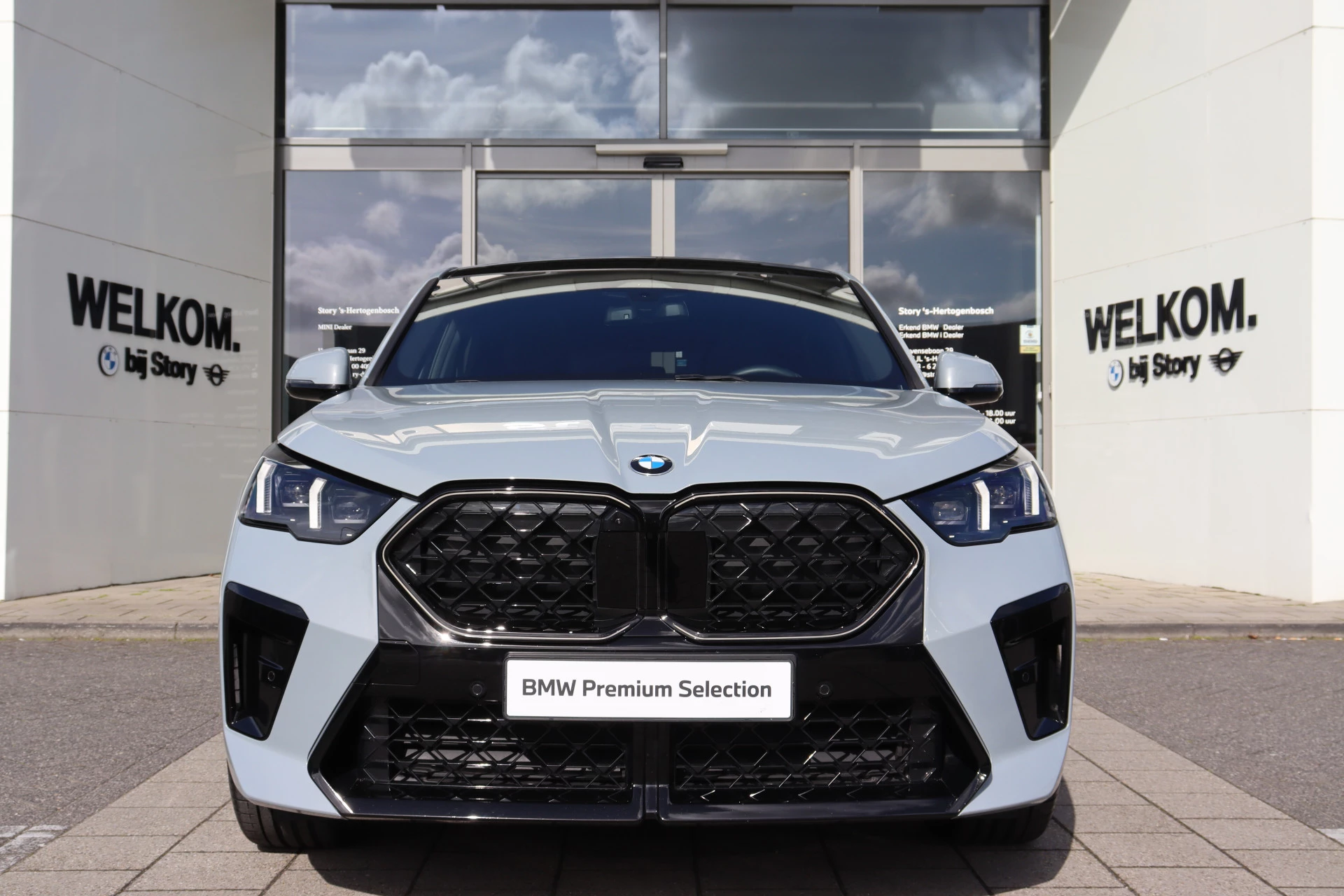 Hoofdafbeelding BMW X2