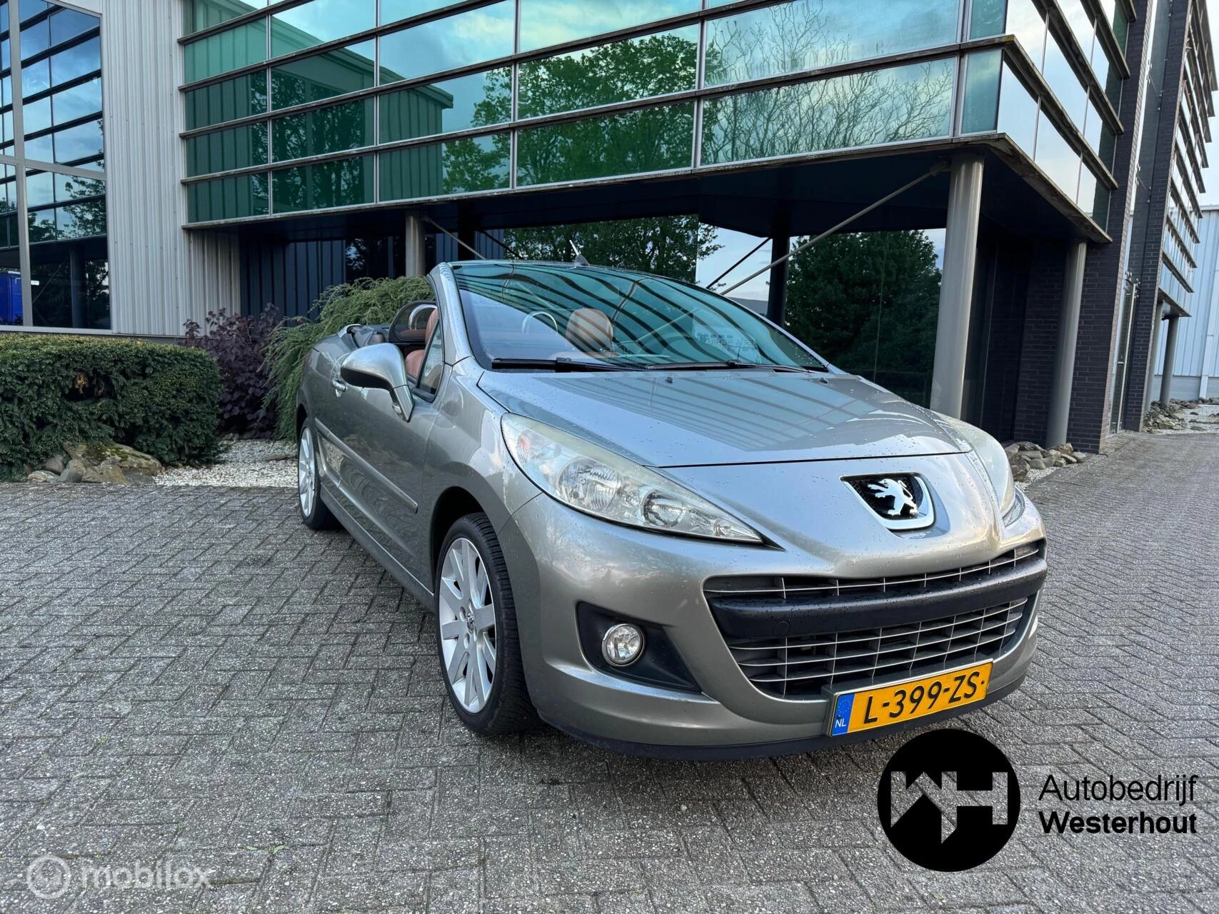 Hoofdafbeelding Peugeot 207
