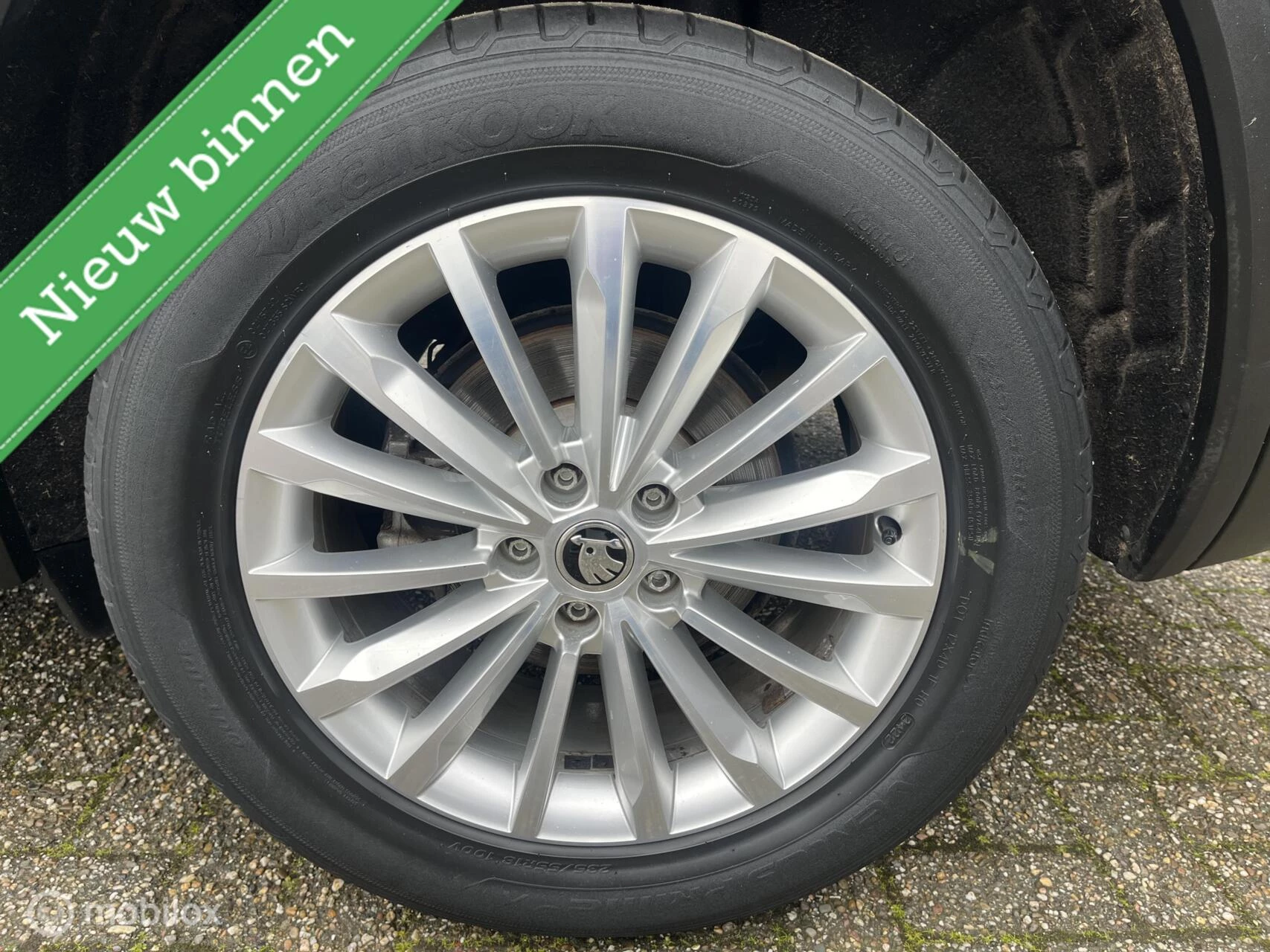 Hoofdafbeelding Škoda Kodiaq