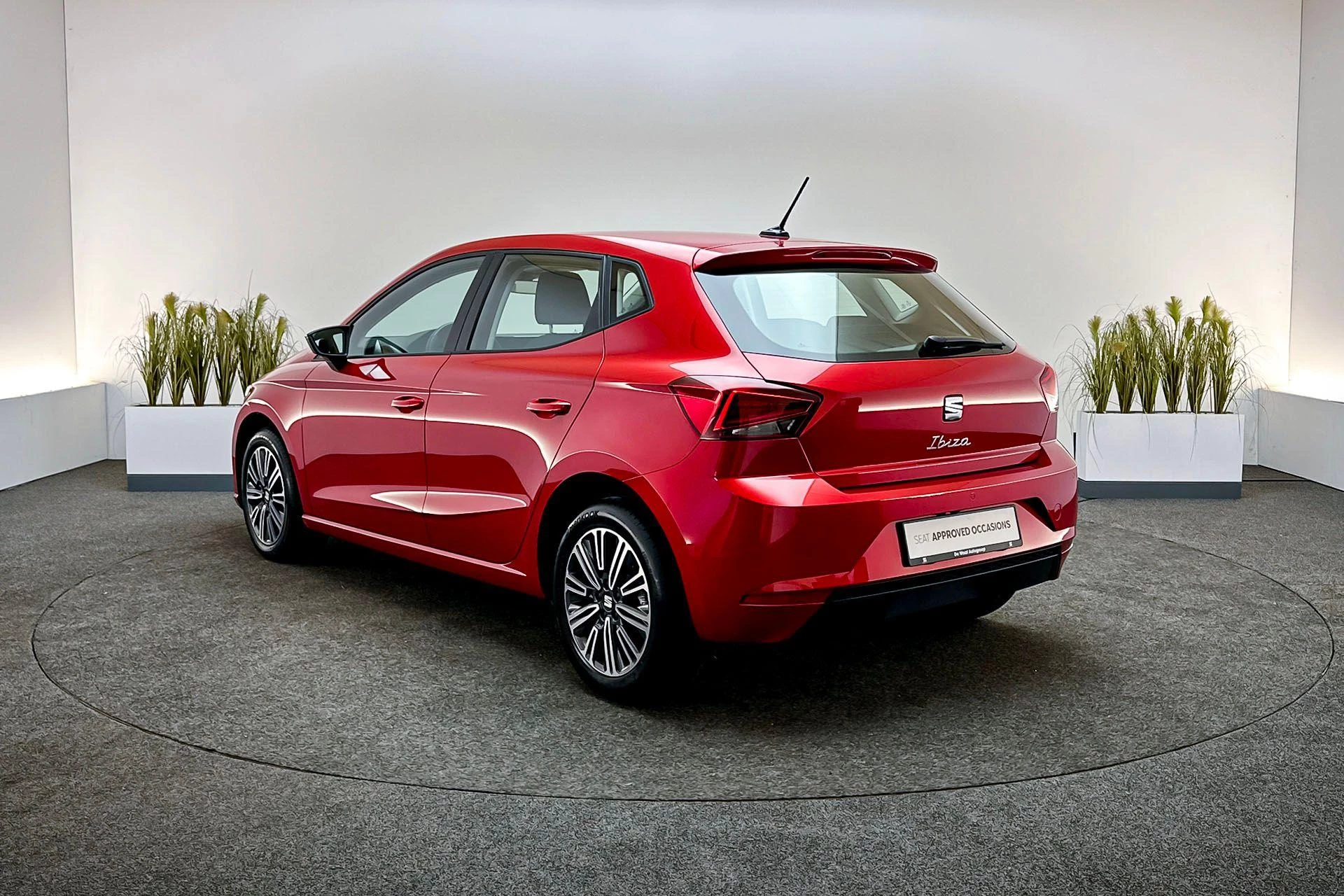 Hoofdafbeelding SEAT Ibiza