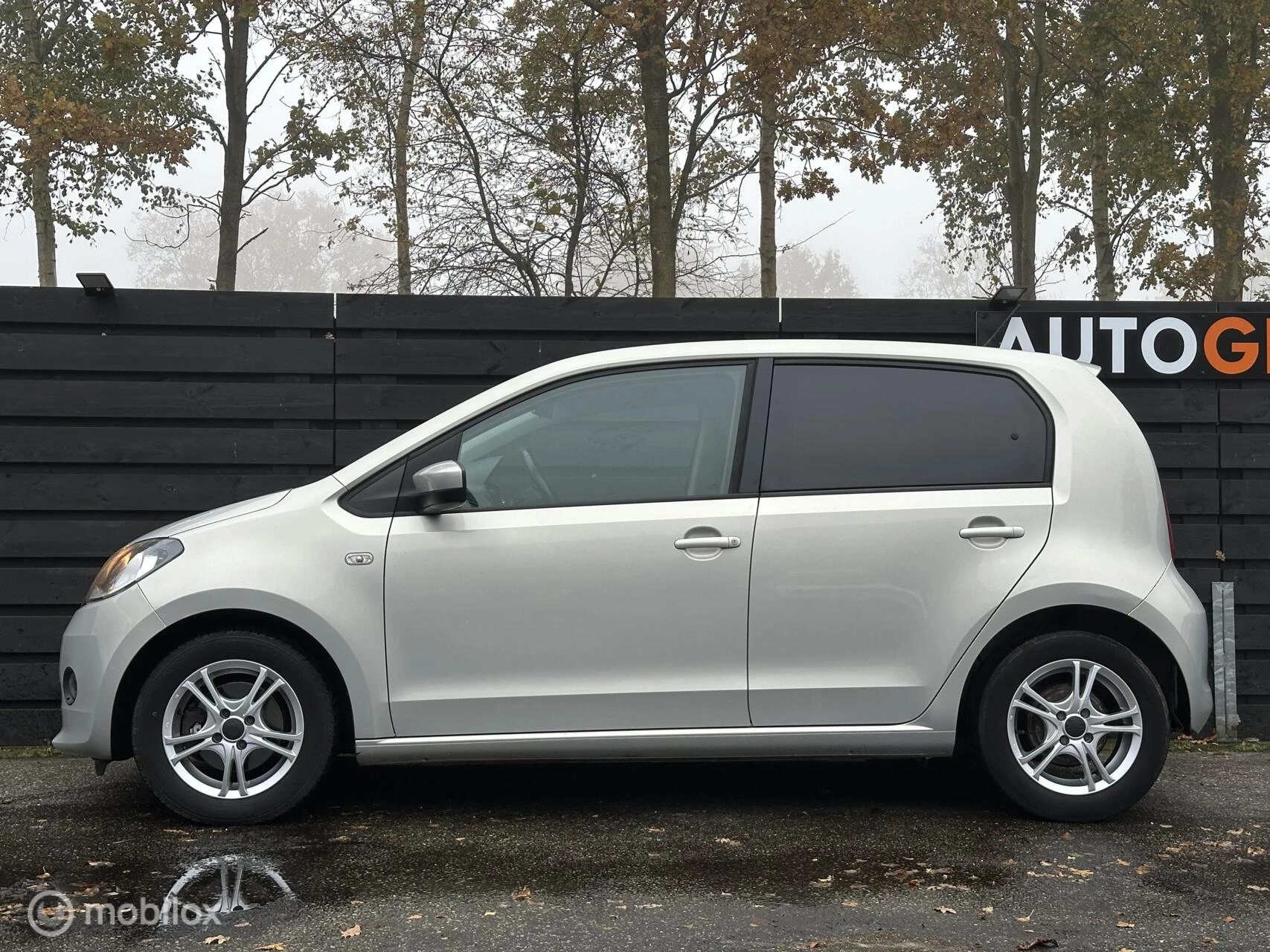 Hoofdafbeelding Škoda Citigo