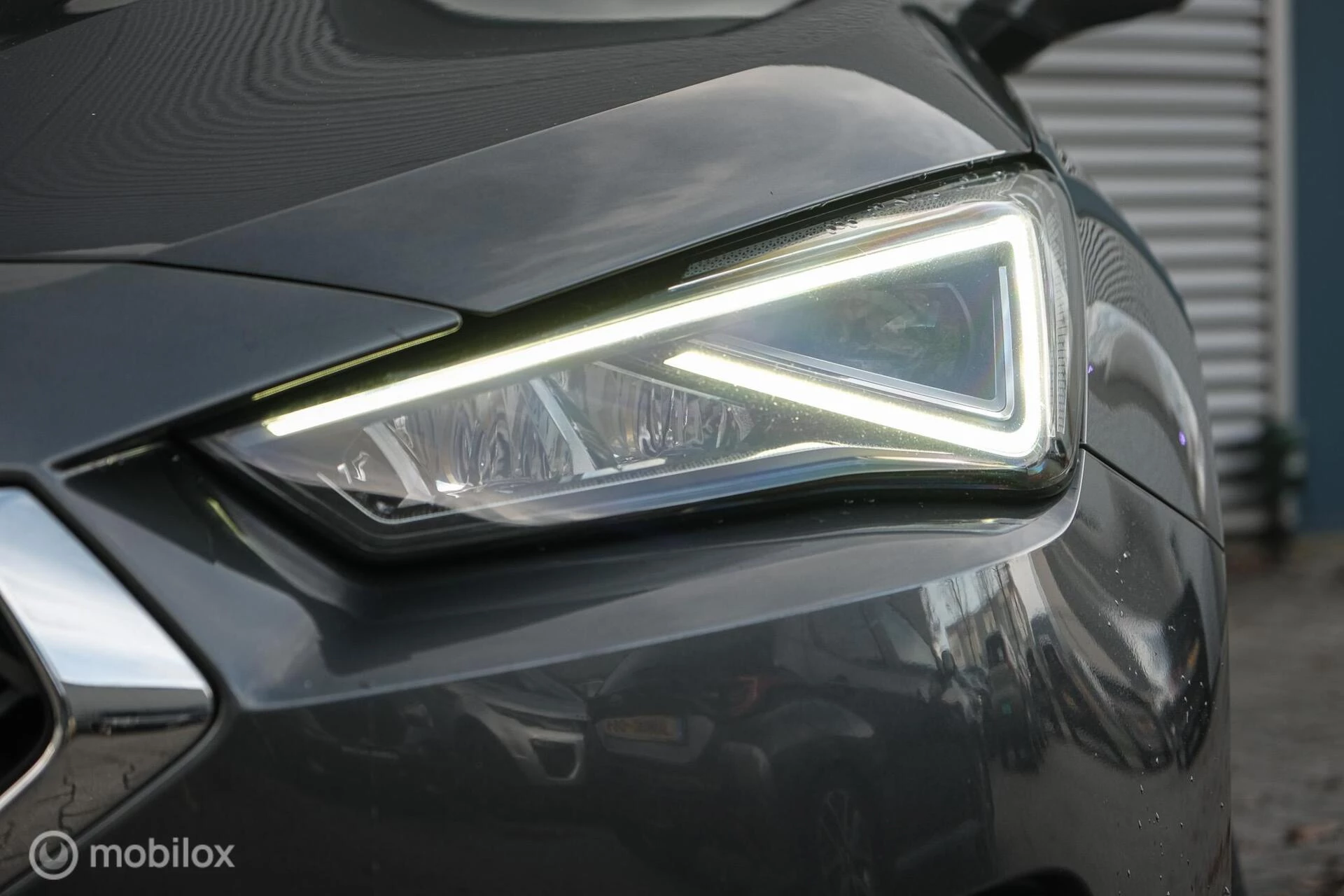 Hoofdafbeelding SEAT Tarraco