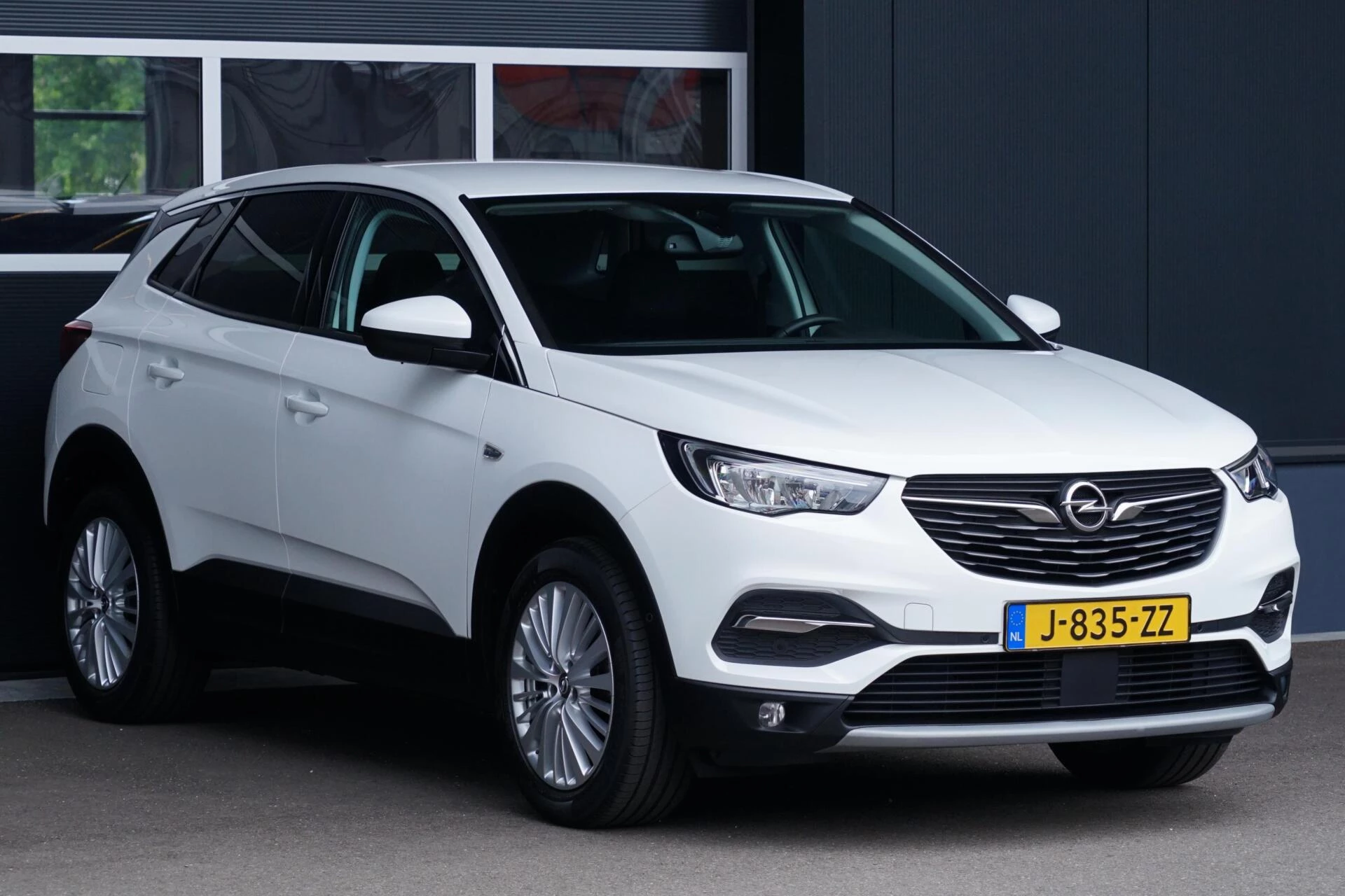 Hoofdafbeelding Opel Grandland X