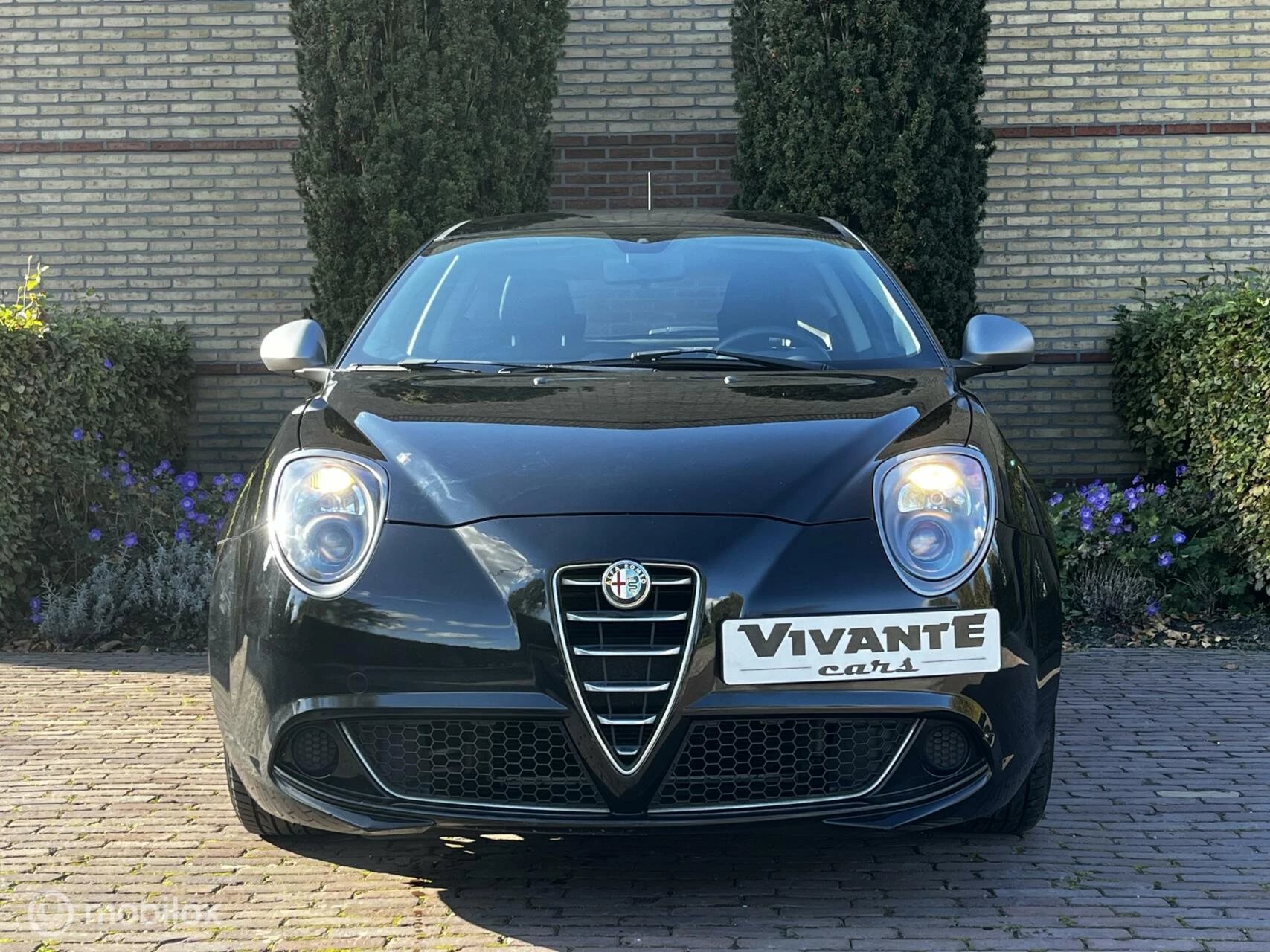 Hoofdafbeelding Alfa Romeo MiTo