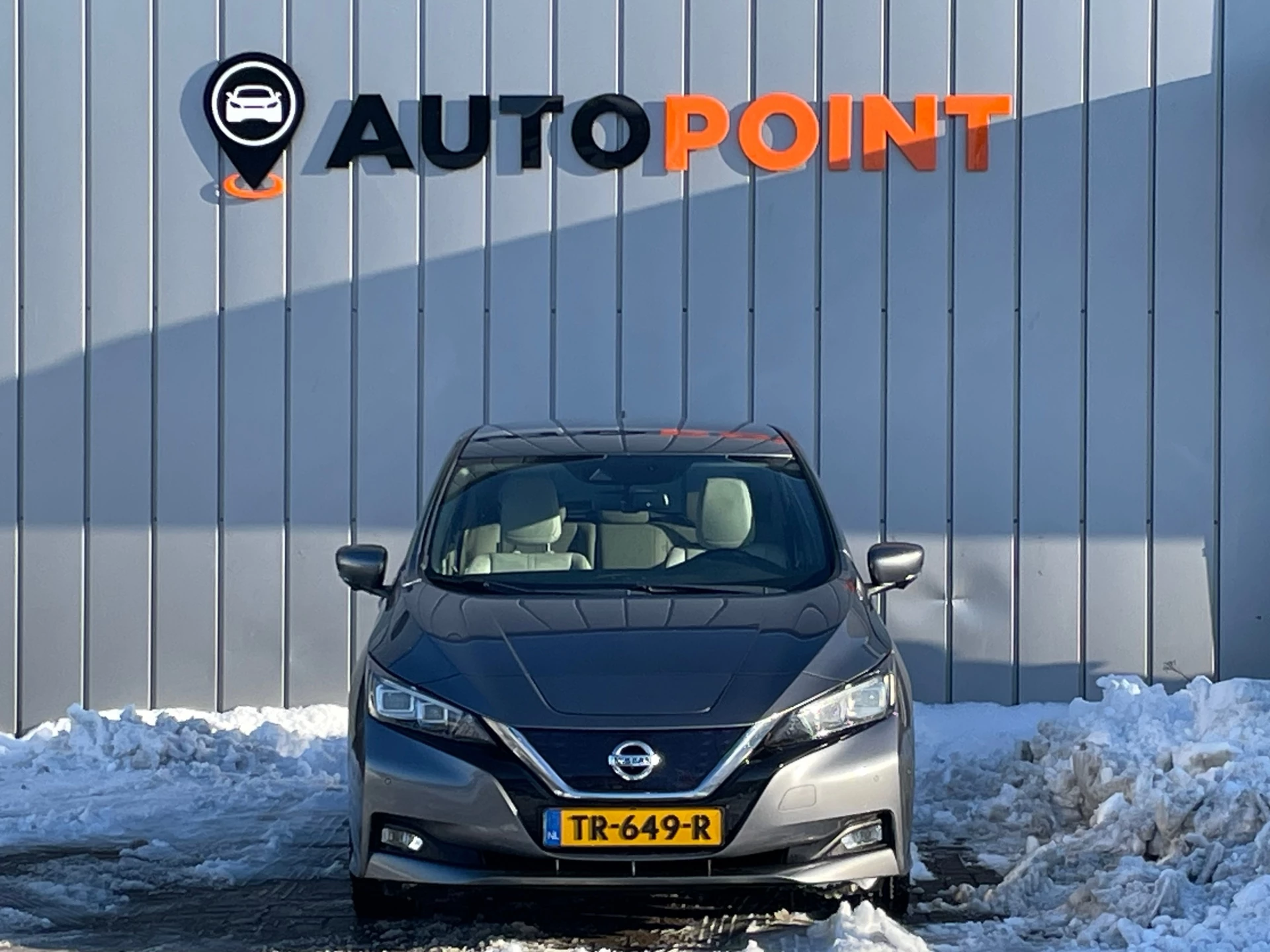 Hoofdafbeelding Nissan Leaf
