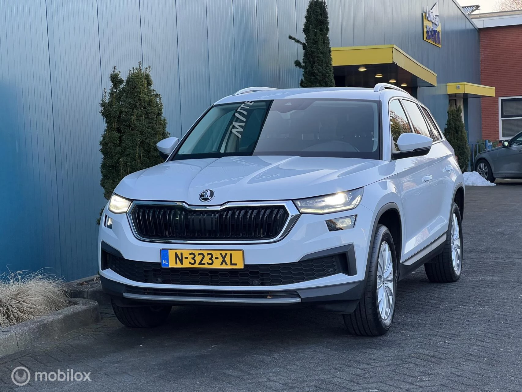 Hoofdafbeelding Škoda Kodiaq