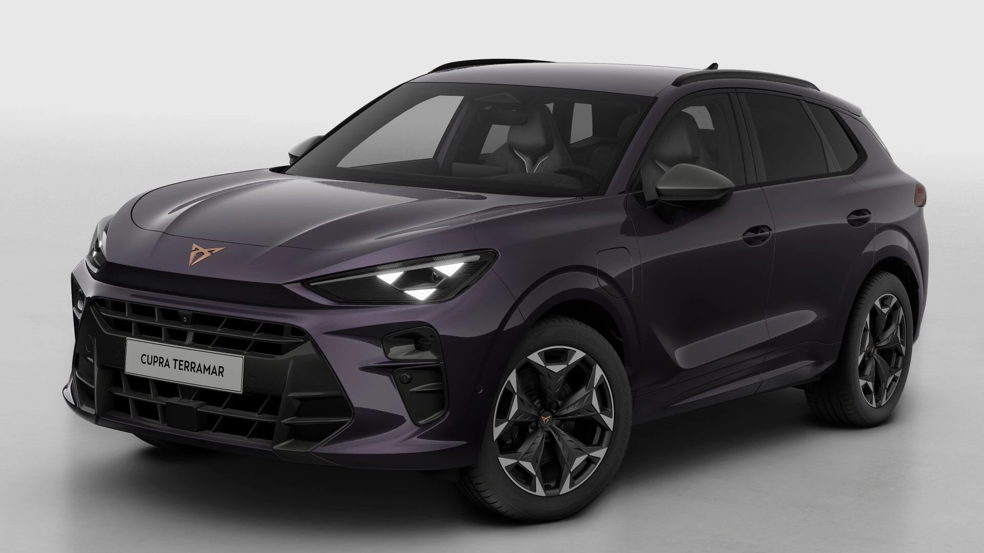 Hoofdafbeelding CUPRA Terramar