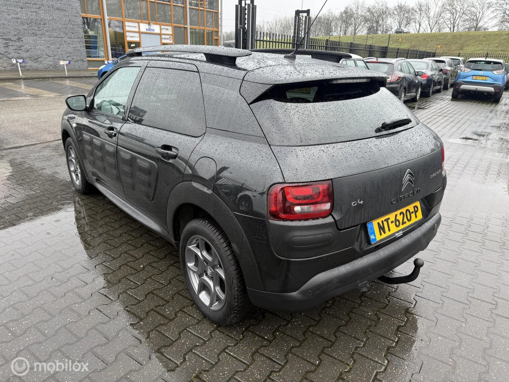 Hoofdafbeelding Citroën C4 Cactus
