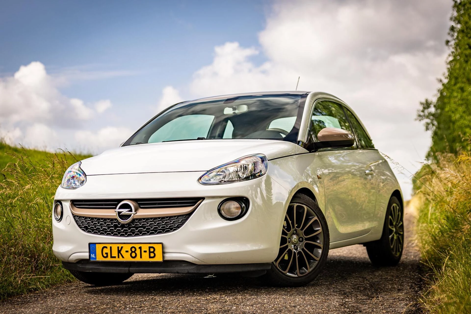 Hoofdafbeelding Opel ADAM