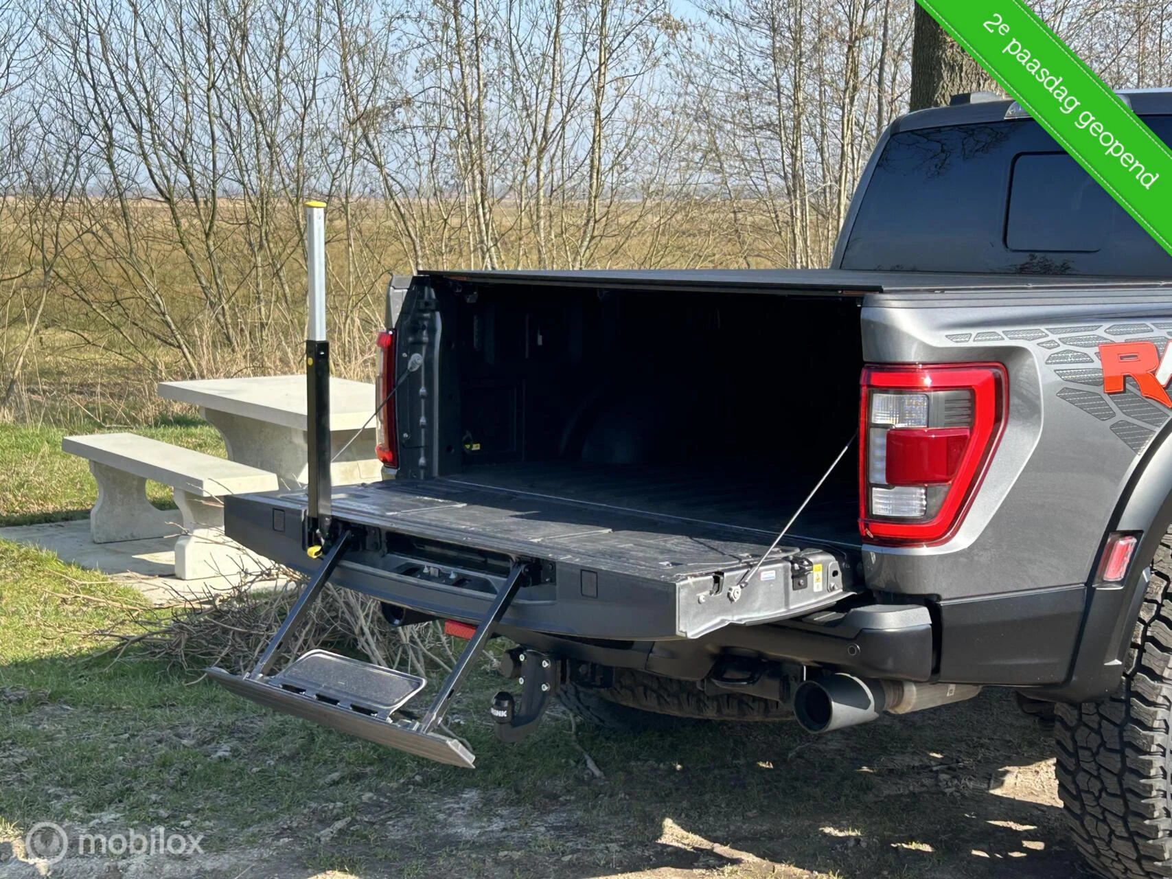 Hoofdafbeelding Ford F-150