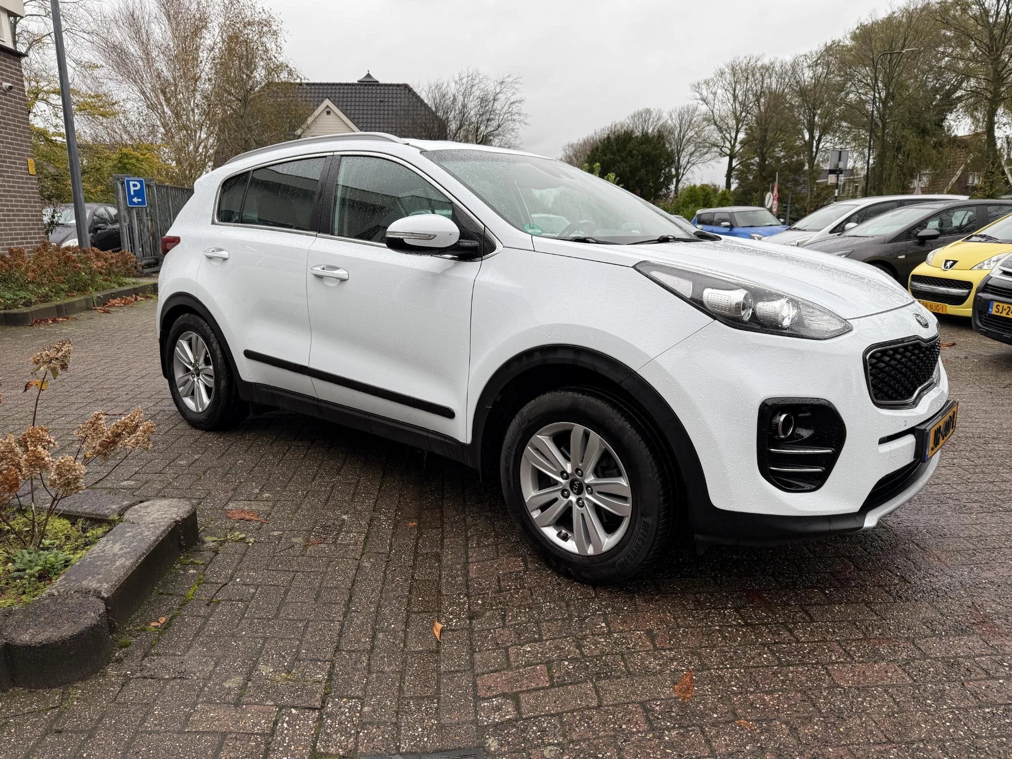 Hoofdafbeelding Kia Sportage