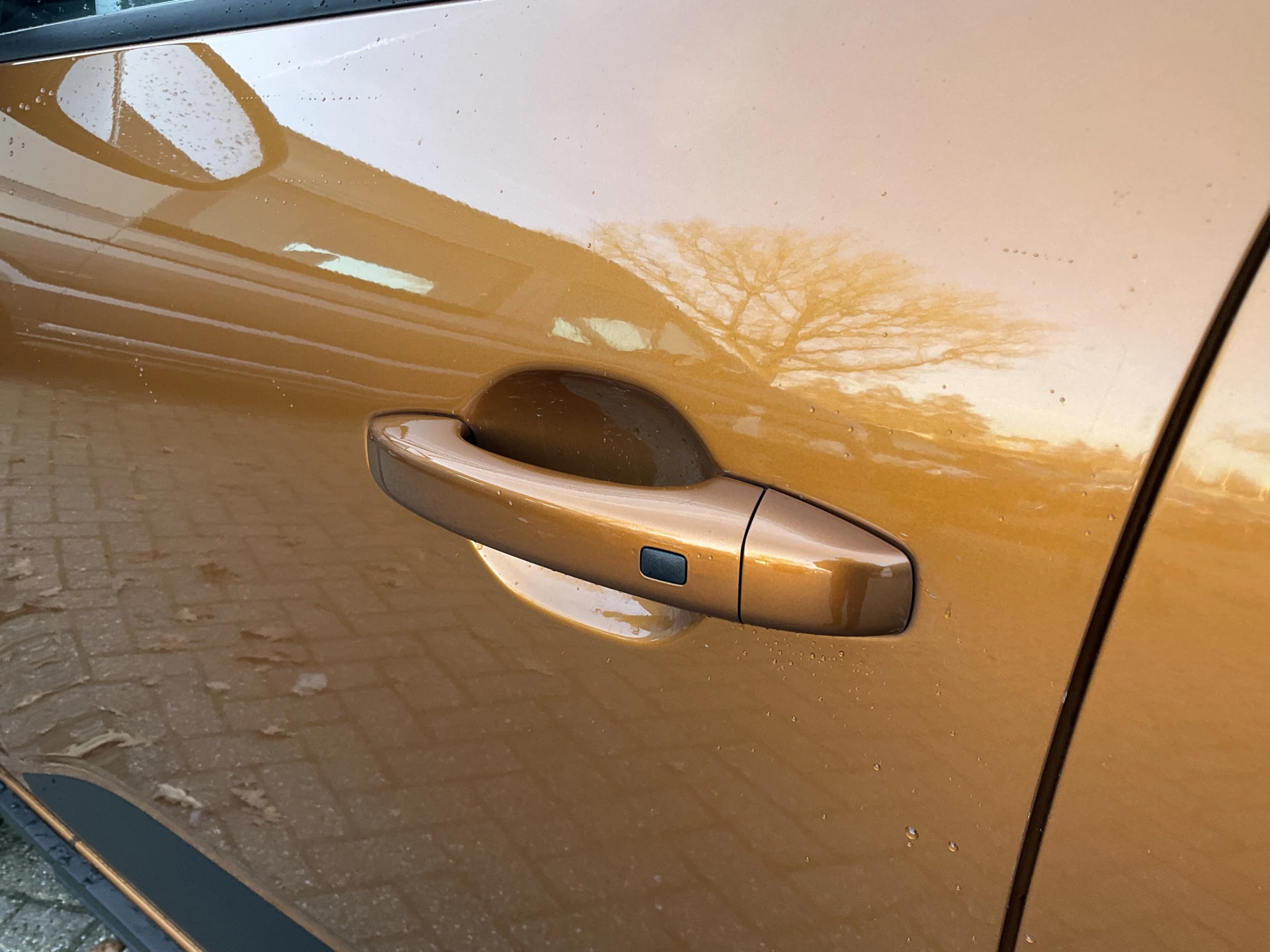 Hoofdafbeelding Dacia Sandero Stepway