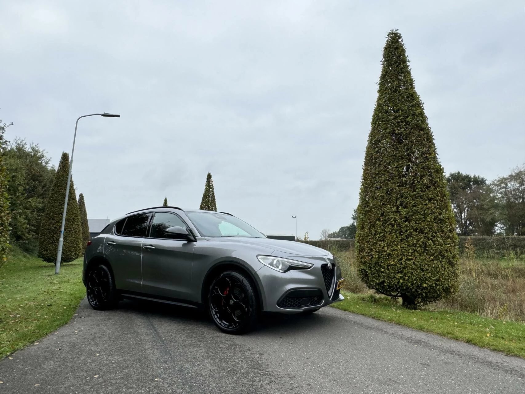 Hoofdafbeelding Alfa Romeo Stelvio