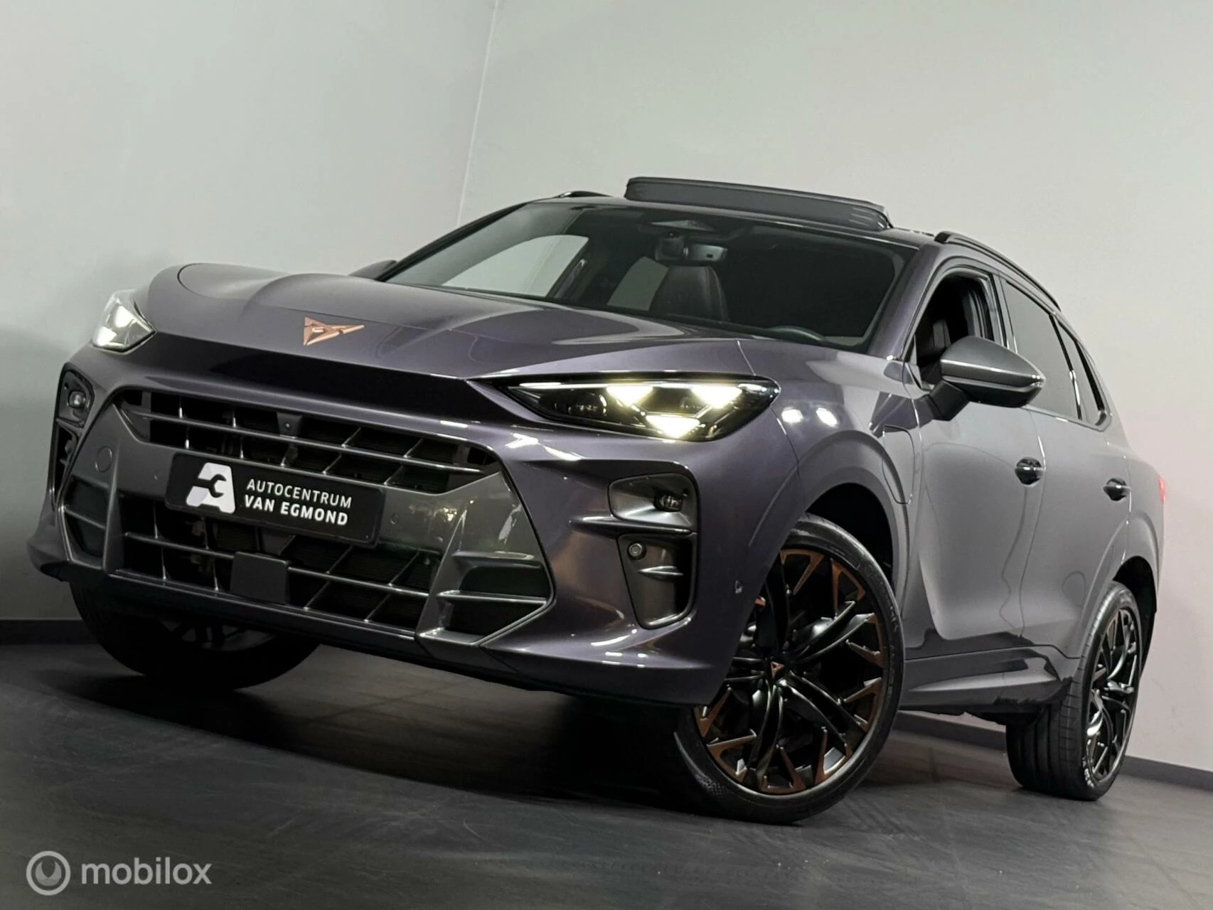 Hoofdafbeelding CUPRA Terramar