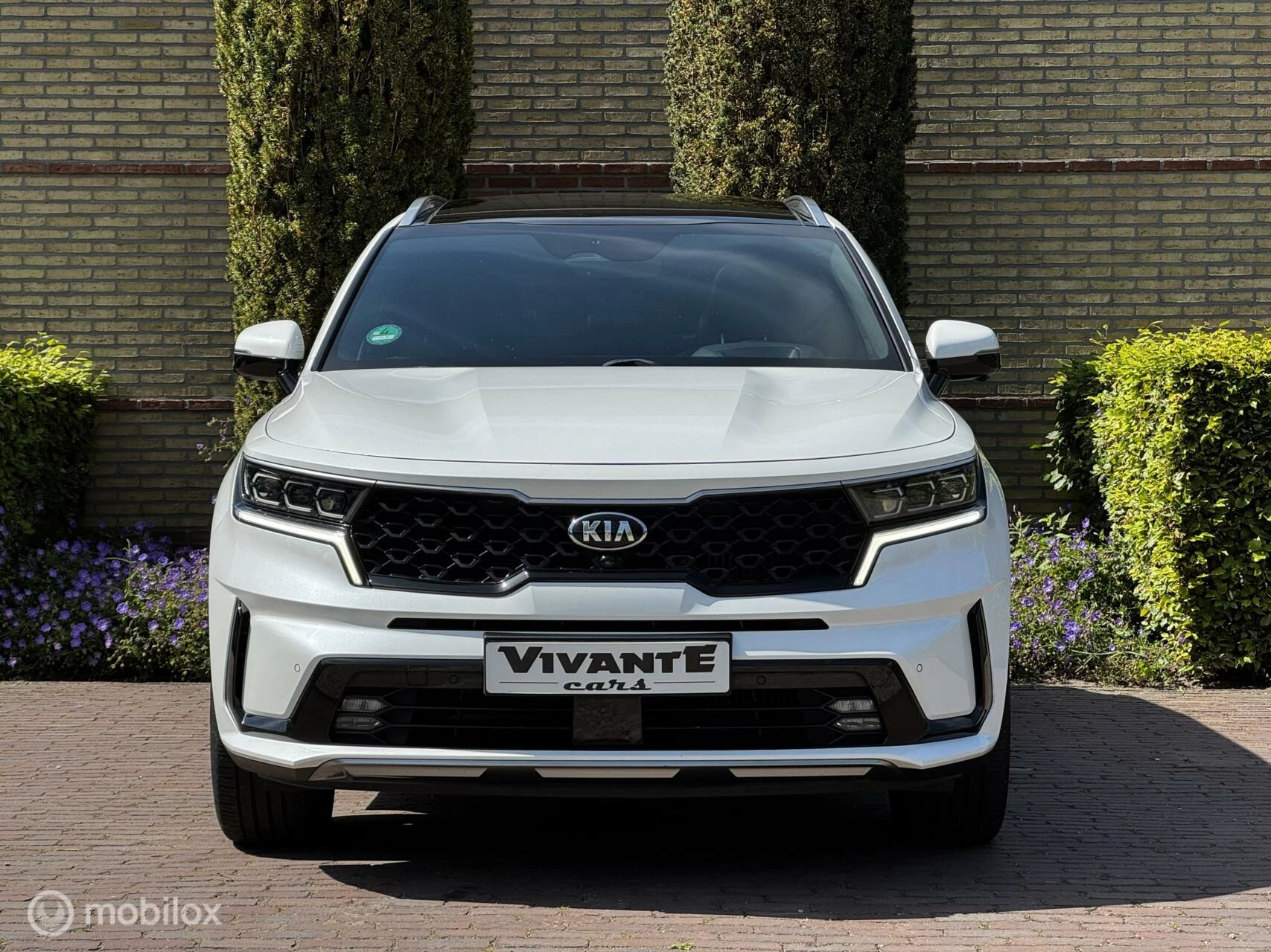 Hoofdafbeelding Kia Sorento