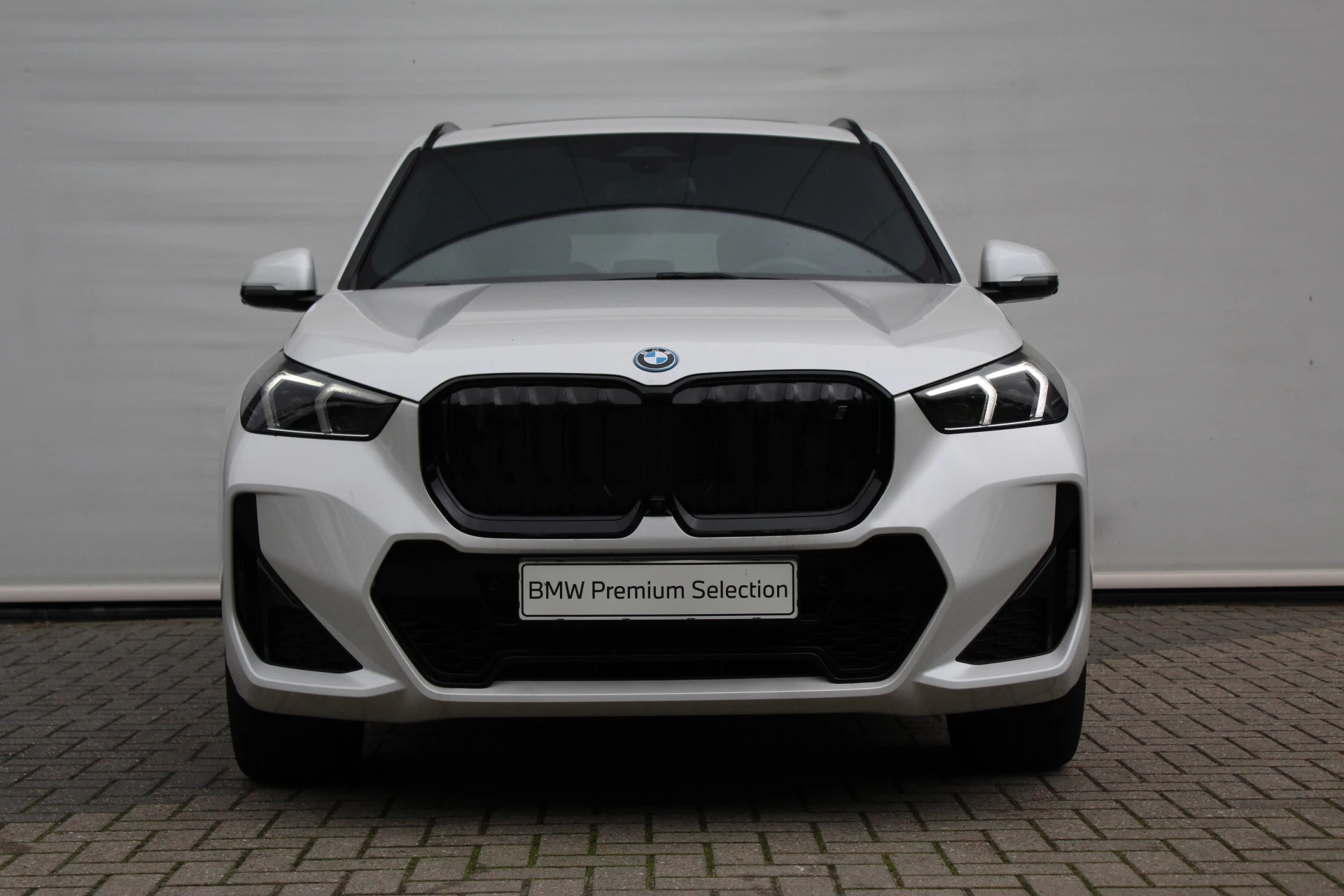 Hoofdafbeelding BMW iX1