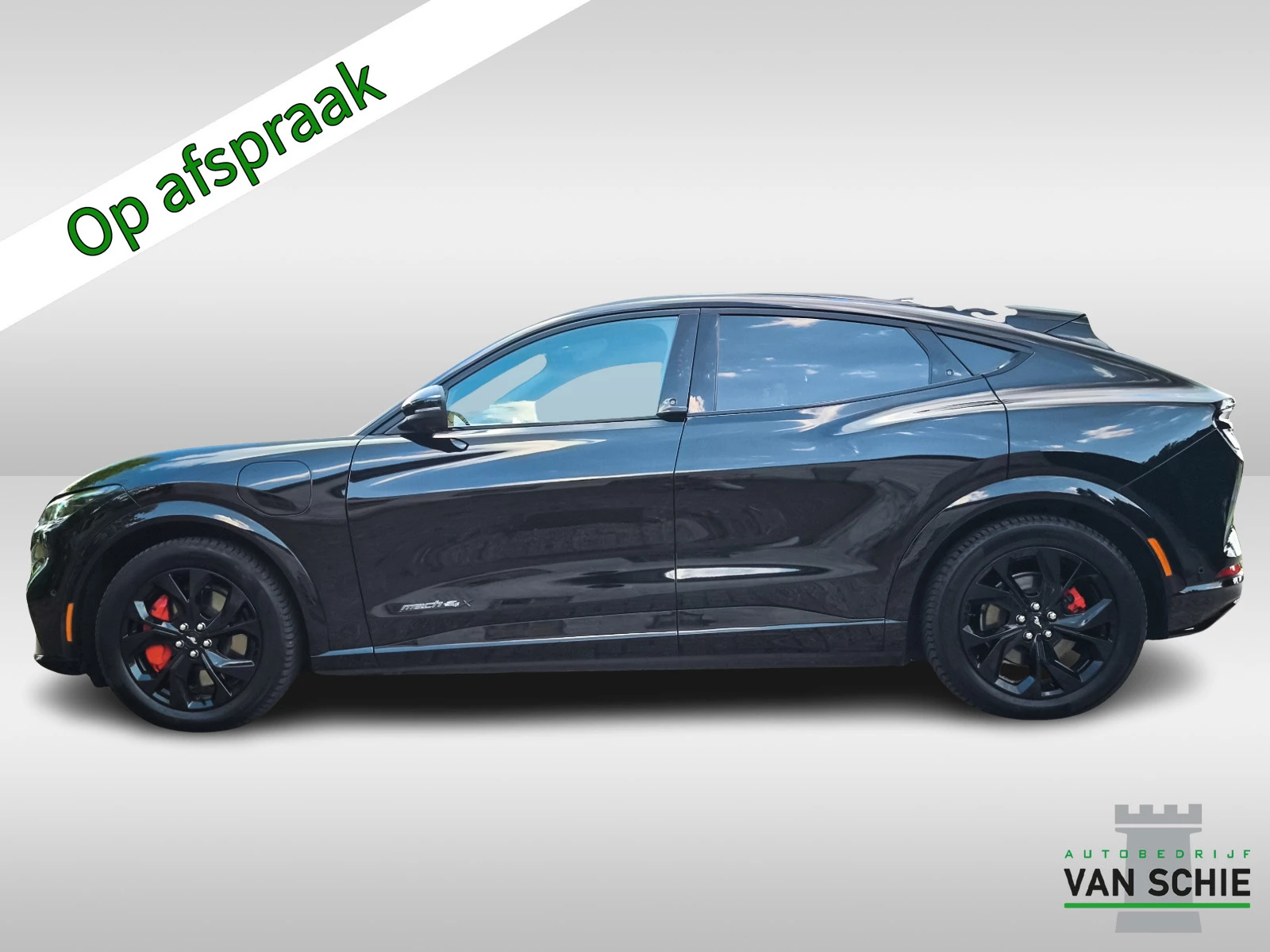 Hoofdafbeelding Ford Mustang Mach-E