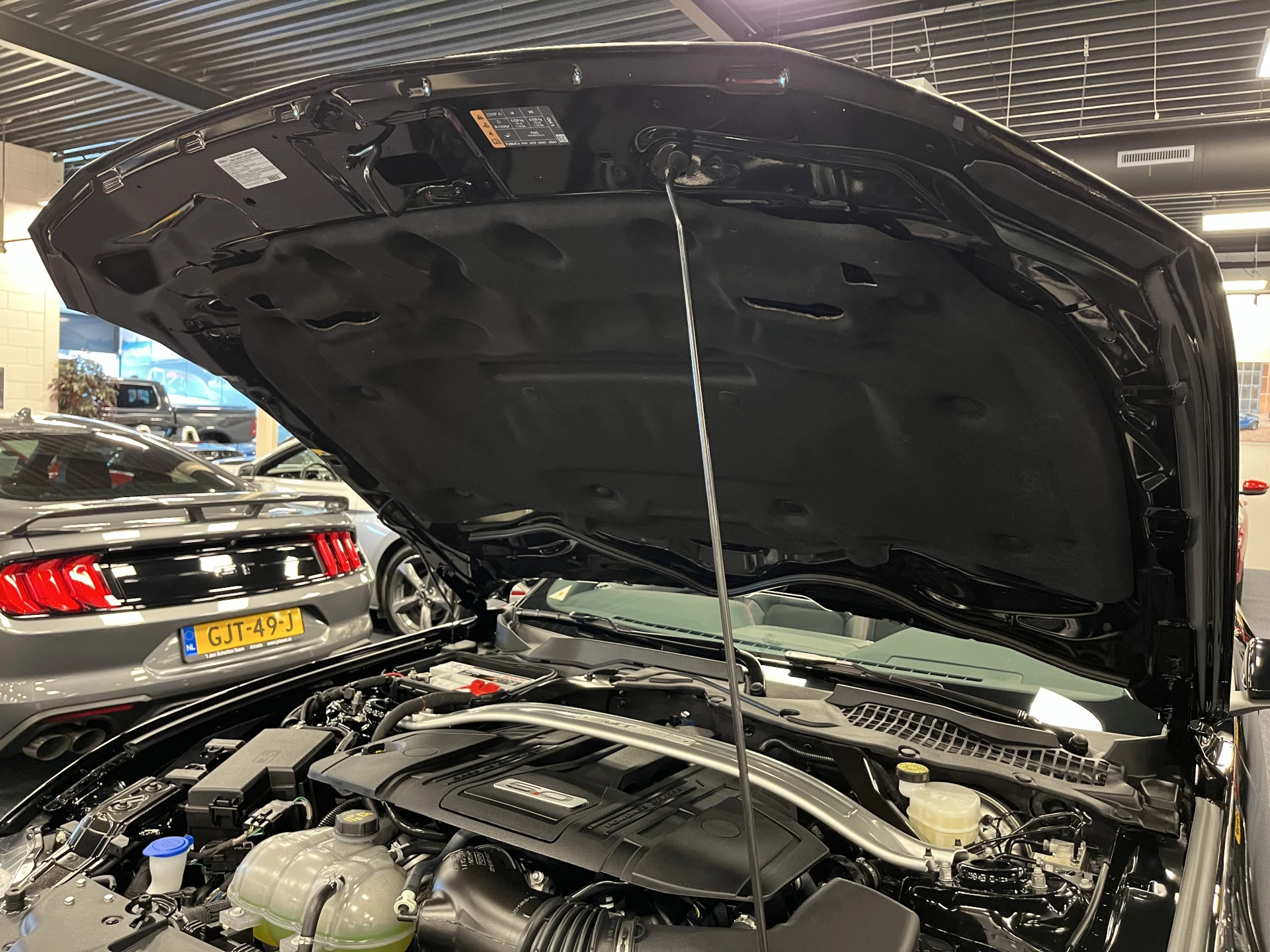 Hoofdafbeelding Ford Mustang