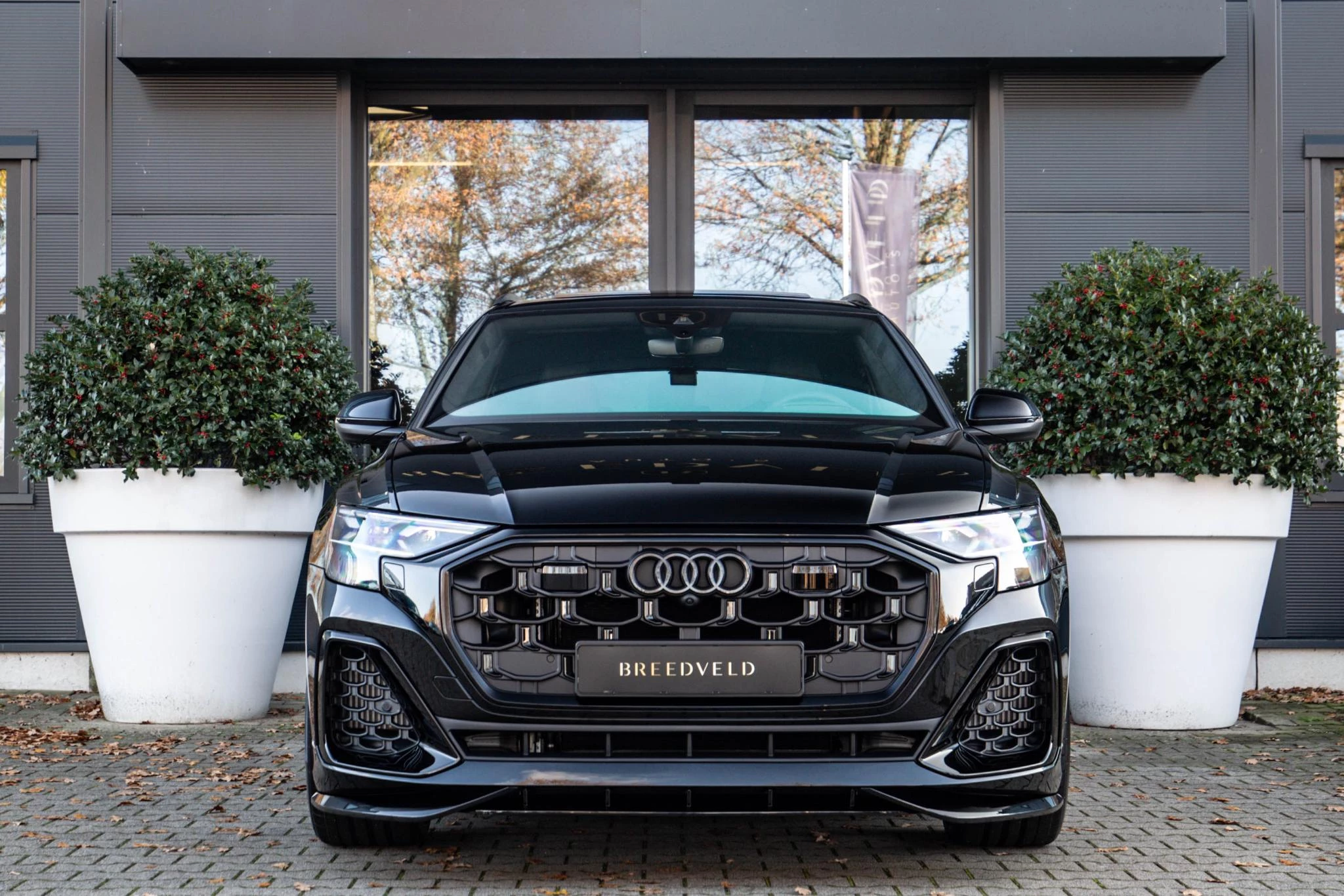 Hoofdafbeelding Audi Q8