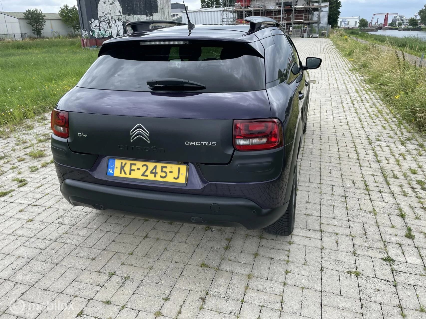 Hoofdafbeelding Citroën C4 Cactus