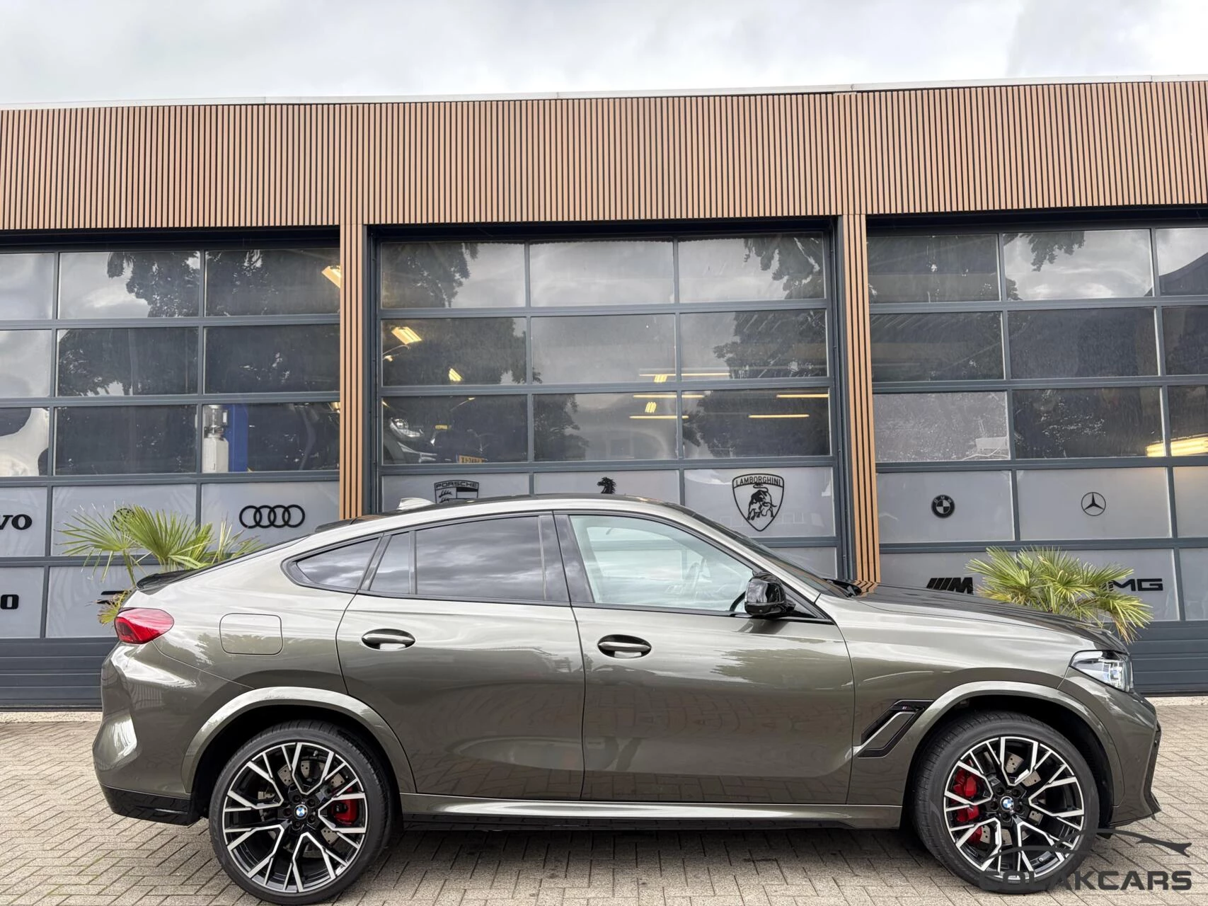 Hoofdafbeelding BMW X6