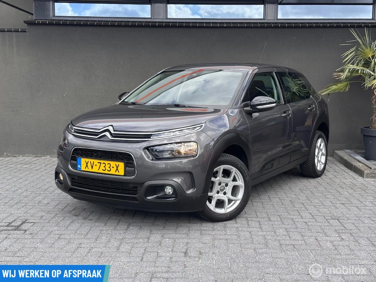 Hoofdafbeelding Citroën C4 Cactus