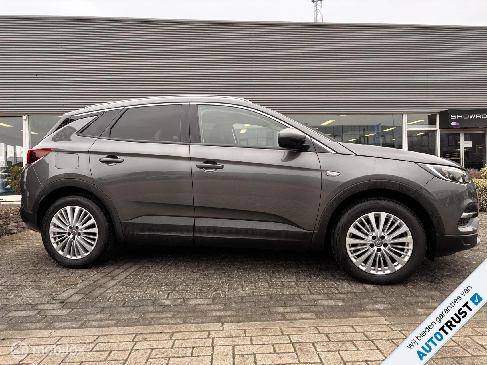 Hoofdafbeelding Opel Grandland X