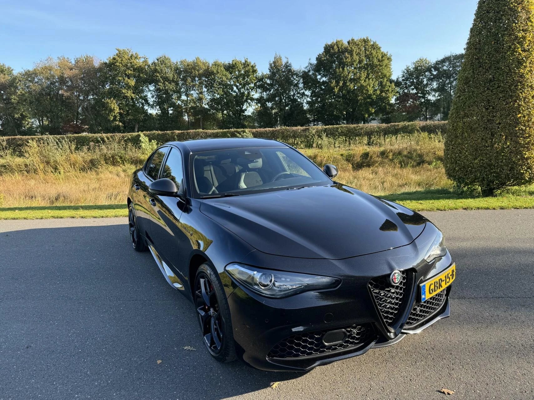 Hoofdafbeelding Alfa Romeo Giulia